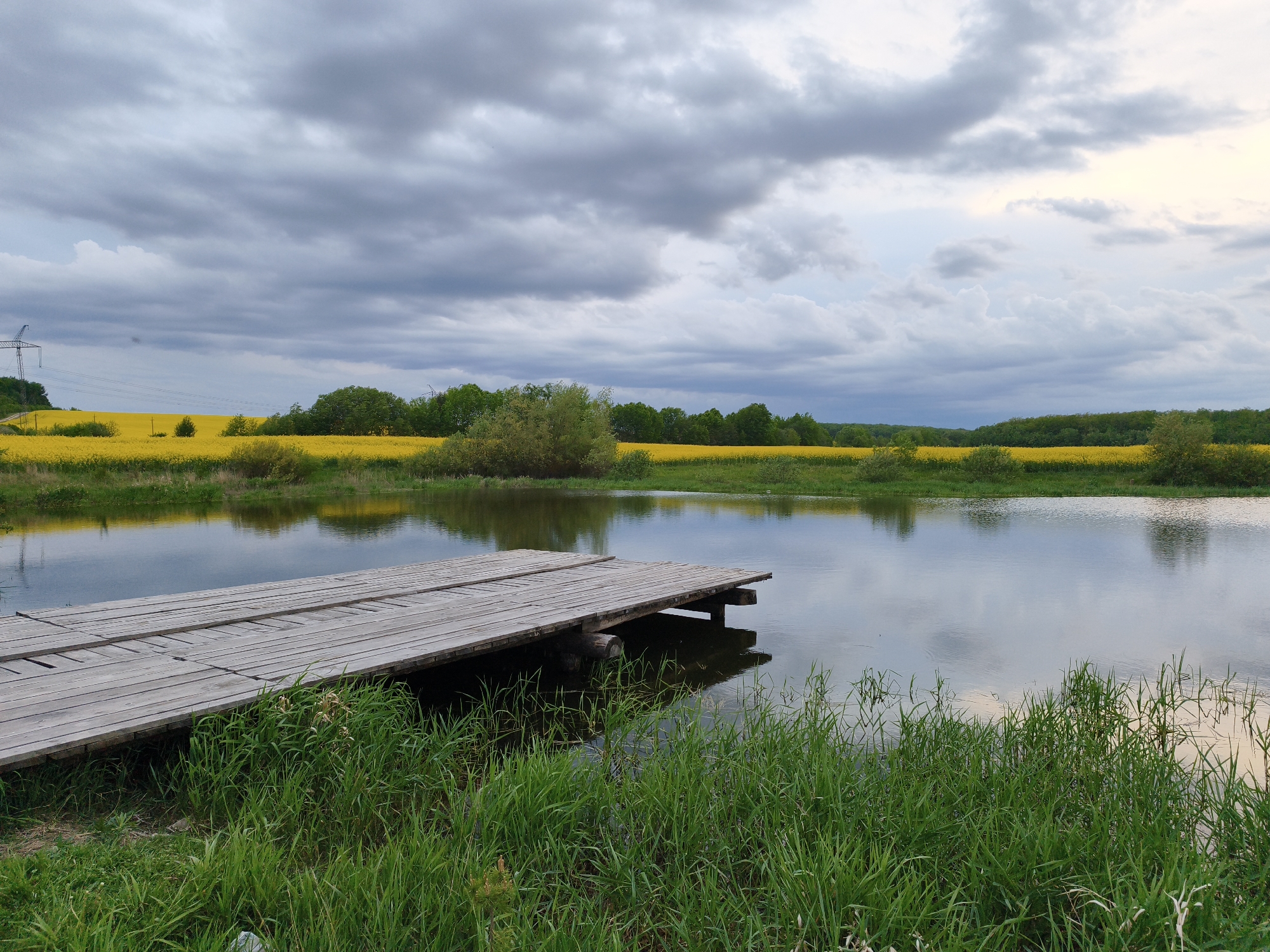 The image depicts a small, calm body of water, likely a pond or small lake, in a rural setting near Yemelivka, Ukraine. A weathered wooden pier extends into the water from the near bank. The foreground vegetation consists of tall, green grass. In the background, a field of bright yellow flowers, possibly rapeseed, stretches towards a line of trees. The sky is overcast with grey and white clouds, suggesting an overcast or potentially stormy day. A distant power line is visible on the left. The water surface reflects the sky and the background landscape. No people are visible in the scene.