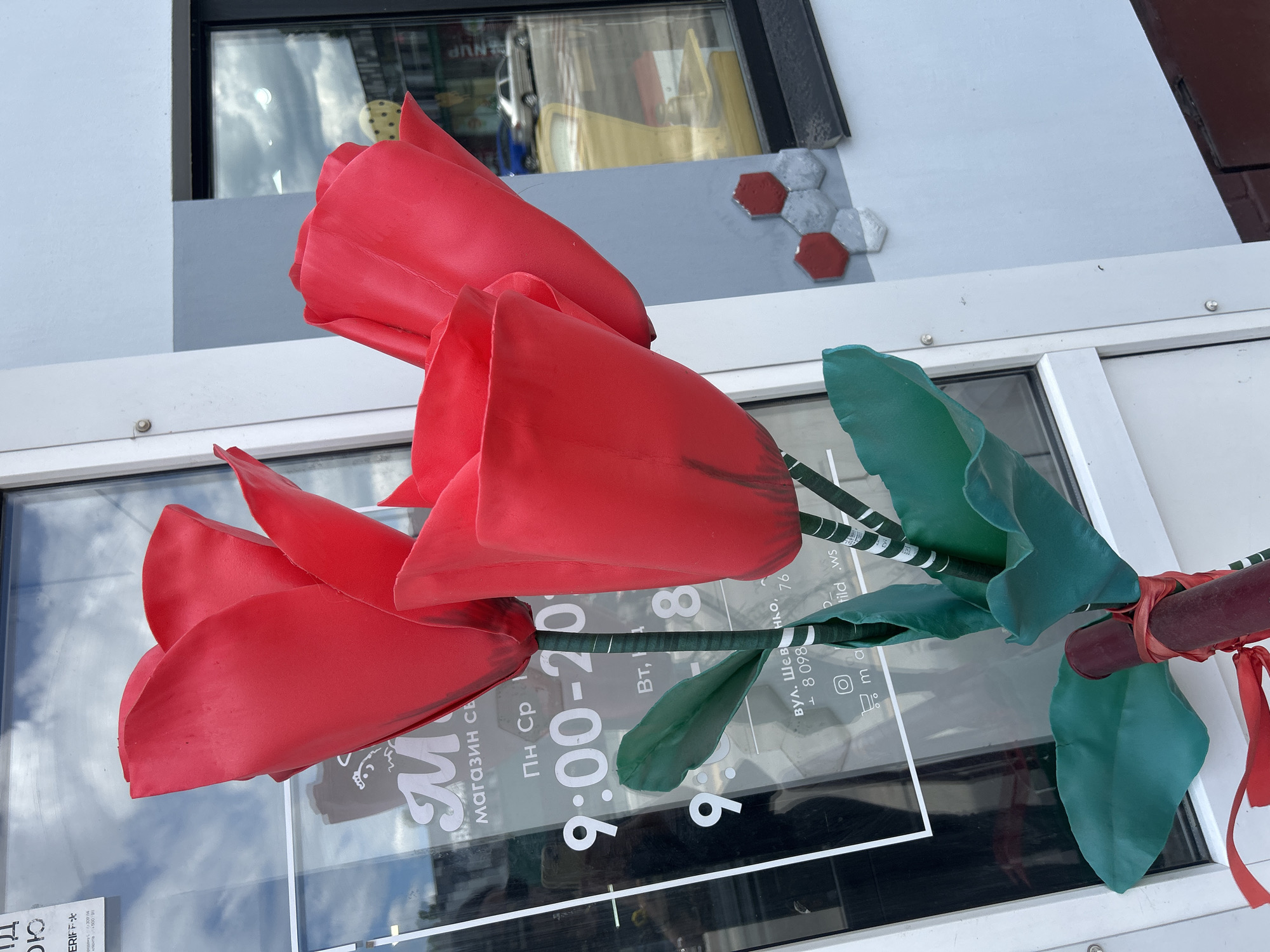 In Bila Tserkva, Ukraine, a close-up, eye-level shot features a large, artificial red rose decoration positioned outside a storefront. The rose has three prominent red petals, appearing to be made of plastic or a similar material, with green leaves and stems. The stems are striped with white. Reflected in the glass window behind the rose are a cloudy sky and elements of the surrounding street, including a car and part of a building. Text on the window, partially obscured by the rose, suggests business hours and a street name, "вул. Шевченка" (Shevchenko Street). The facade of the building is painted in light blue and gray, with decorative hexagonal tiles in red and gray visible on the wall. The overall impression is one of outdoor retail decoration.