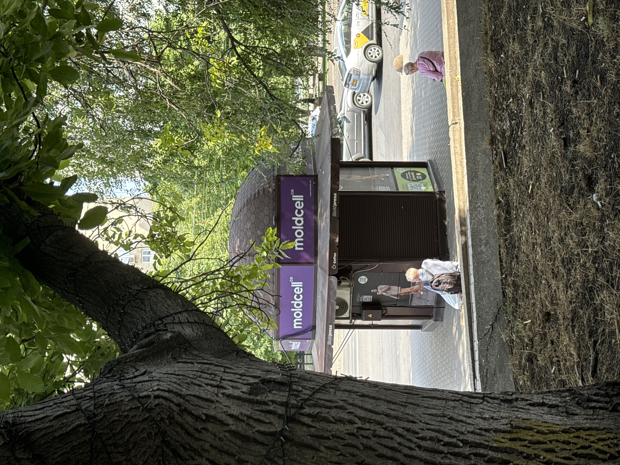 A Moldcell kiosk, a telecommunications service provider, is situated in a paved urban area in Chișinău, Moldova. The kiosk has a purple awning with the Moldcell logo. In front of the kiosk, a person with blond hair is sitting on the curb, facing away from the camera, with a backpack on the ground next to them. Further down the curb, another person wearing a pink shirt and a straw hat is seated and looking at their phone. Several cars are parked on the street behind them. The scene is illuminated by sunlight filtering through the leafy branches of a large tree in the foreground. The ground in the immediate foreground is covered in dry grass and scattered cigarette butts.