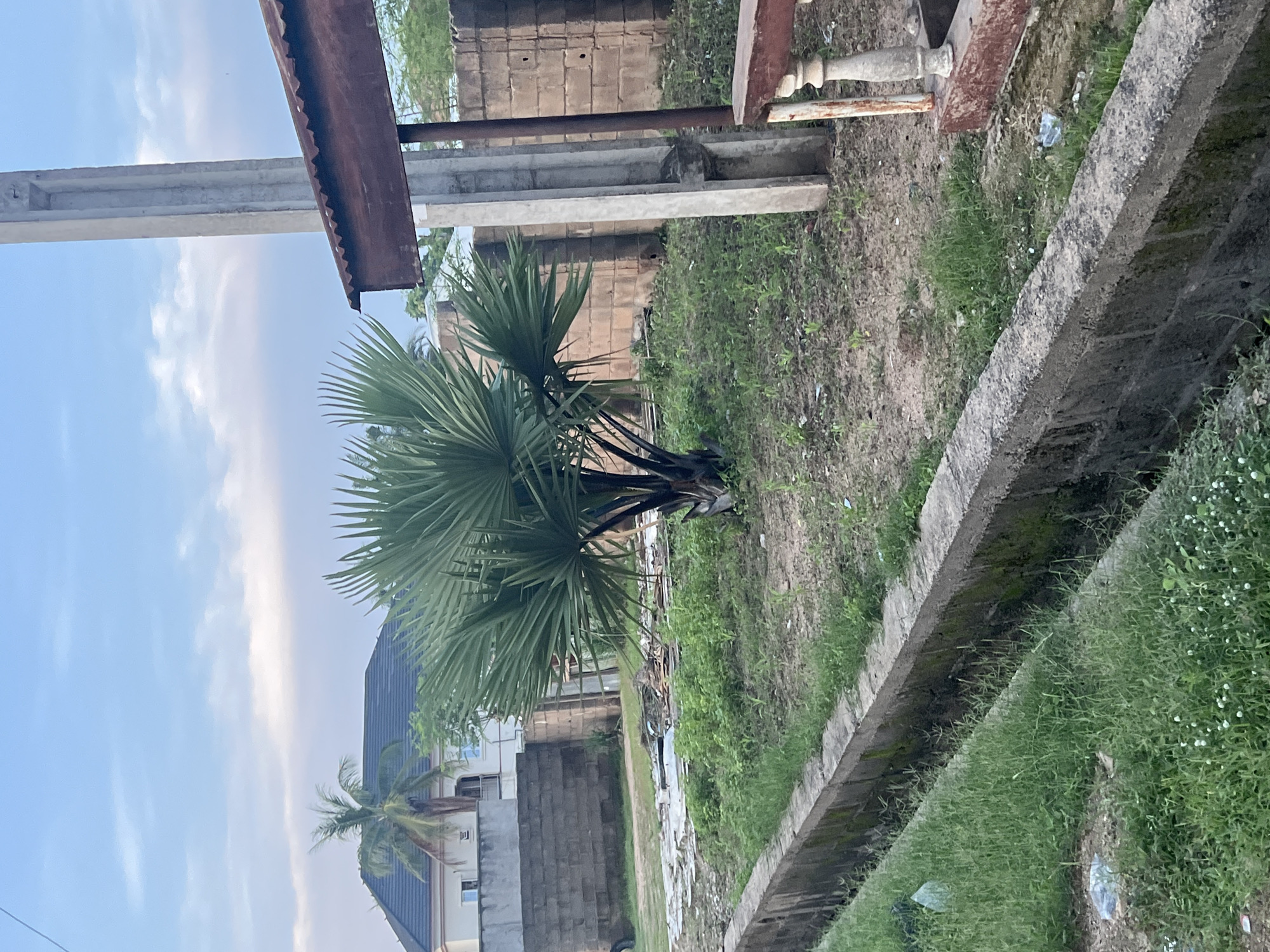 This is a vertical, medium-shot, outdoor photograph taken during the day in Jalingo, Nigeria. The image depicts an undeveloped lot with a palm tree in the foreground, a concrete drainage ditch running along the bottom, and a brick wall and building in the background. The sky is partly cloudy with a pale blue hue.
In the foreground, a small palm tree with fan-shaped leaves stands prominently. The drainage ditch, constructed of grey concrete blocks, is filled with green grass and some debris.
In the middle ground, the lot is covered with sparse vegetation and patches of dry earth. Various construction materials, including broken concrete slabs and wood scraps, are scattered across the ground. Behind the palm tree, a rough brick wall is visible, and further back, a modern two-story building with a dark roof and windows can be seen. Another section of brick wall with visible mortar lines runs horizontally across the mid-ground.
To the right of the image, a tall, grey concrete utility pole stands beside a rusty corrugated metal structure. Below this, part of a reddish-brown bench or seating area with concrete posts is visible.
The overall impression is one of an unfinished or neglected construction site on the outskirts of Jalingo.