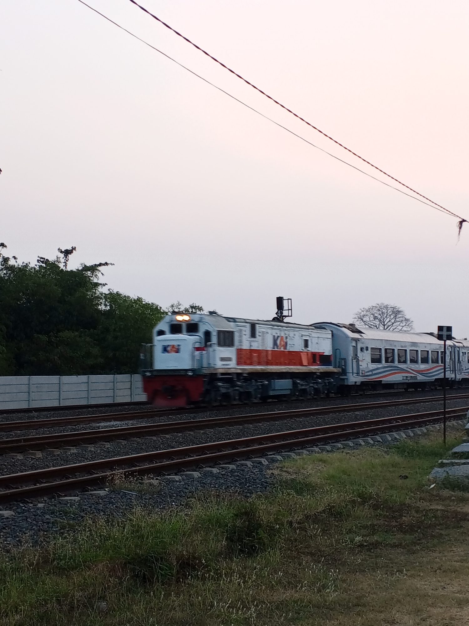A train, primarily white with red and blue accents, is captured in motion on a set of railway tracks under an overcast sky. The train features a locomotive at the front, which is blurred due to movement, and several passenger cars behind it. The locomotive displays a logo that appears to be "KAI". Alongside the tracks, there's a low concrete wall, followed by dense green foliage. Further in the background, a solitary, bare tree stands out against the pale sky. The foreground is dominated by grassy terrain with scattered weeds, with the railway tracks running through it. The image quality is slightly grainy, suggesting it may have been taken with a mobile phone camera. The scene is devoid of people.