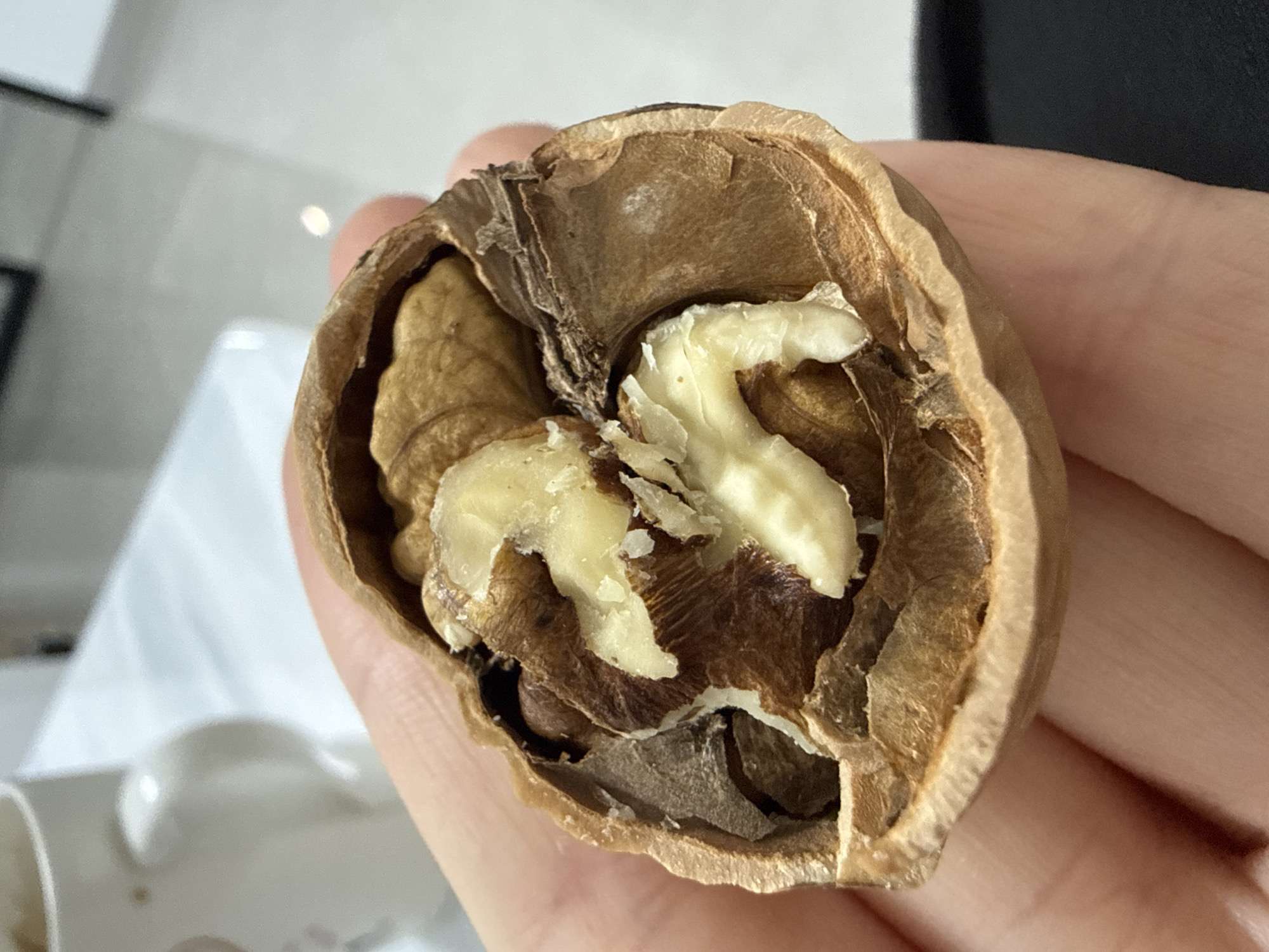 A close-up shot shows a person's hand holding a cracked-open walnut. The walnut's shell is a textured brown, and the kernel inside is light brown and cream-colored, with visible textures and folds. Some of the shell has broken away, revealing the nut's interior. In the blurred background, a white mug with a handle is visible, suggesting an indoor setting. The scene appears to be in a residential or casual environment, not specifically related to the city of Huizhou, China.