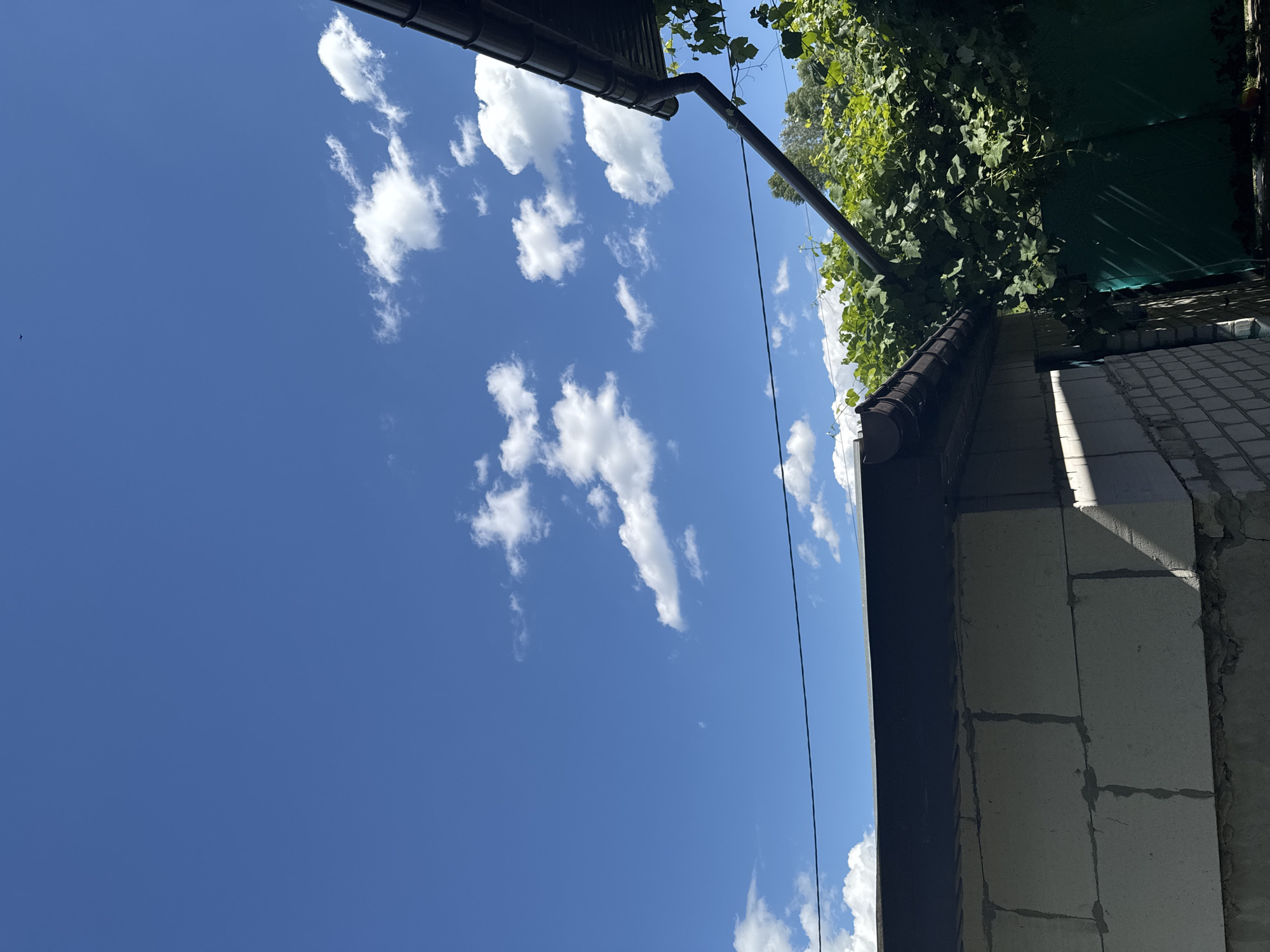 The image shows a bright blue sky with scattered white clouds. In the foreground, there is a building under construction, made of concrete blocks. A dark-colored gutter runs along the edge of the roof. To the right of the building, lush green foliage, likely from a vine or tree, hangs over a dark green canopy. The scene suggests an outdoor setting on a clear day. The sunlight casts shadows, indicating it is daytime. There is no text visible in the image.