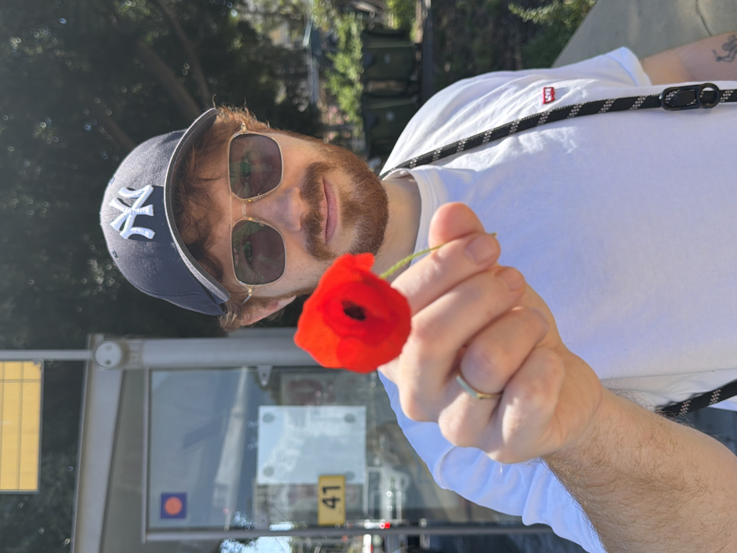 The image, taken in Tel-Aviv, Israel, features a man in an outdoor urban setting, presenting a vibrant red poppy flower directly towards the viewer. The man, with a reddish-brown beard, is wearing a dark blue New York Yankees baseball cap with the "NY" logo prominently displayed, and gold-framed aviator-style sunglasses. His expression, partially obscured by the sunglasses, appears relaxed with a slight smile. He is dressed in a plain white t-shirt, which has a small red Levi's tag visible on the left chest. A black, woven strap, possibly from a bag or camera, crosses diagonally over his right shoulder and chest. On his left hand, which holds the delicate green stem of the poppy, a thin gold-colored ring is visible on his ring finger.
The background suggests a sunny day with bright light, indicated by the clear illumination. Behind the man, blurred trees and greenery are visible, along with elements of a city street. These include what appears to be a bus stop shelter with metal frames and glass panels, reflecting parts of the surroundings. A prominent yellow sign with the black number "41" is visible in the lower right background, potentially indicating a bus route or street marker. The overall scene captures a casual moment in a bustling city environment.