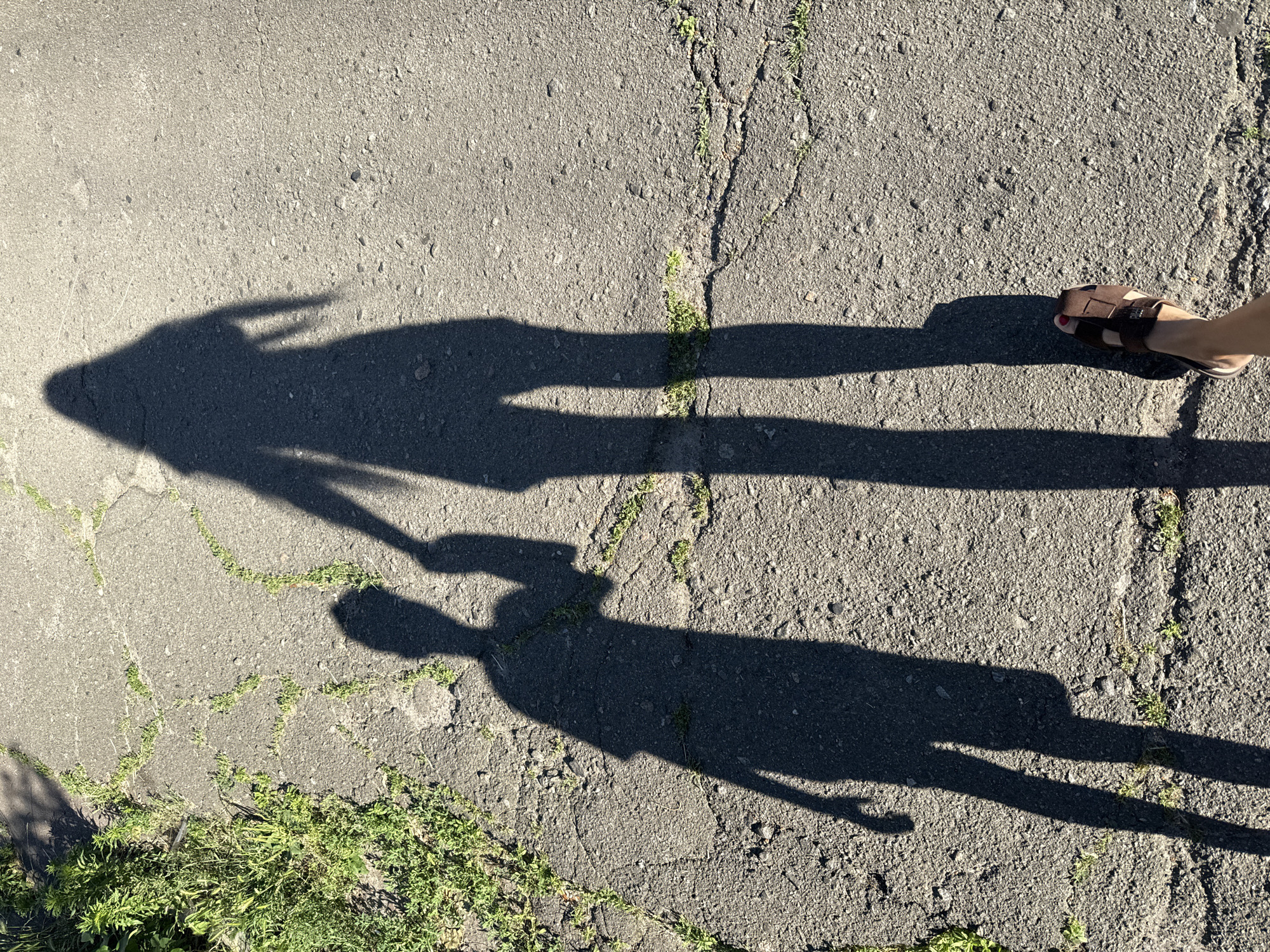 The image captures the shadows of two individuals, likely an adult and a child, holding hands as they walk on a cracked asphalt path. Green grass sprouts from the cracks and along the edge of the path. The scene is lit by the sun, casting long shadows. A person's foot wearing a brown sandal is visible in the foreground. The location is the city of Kyiv, Ukraine.