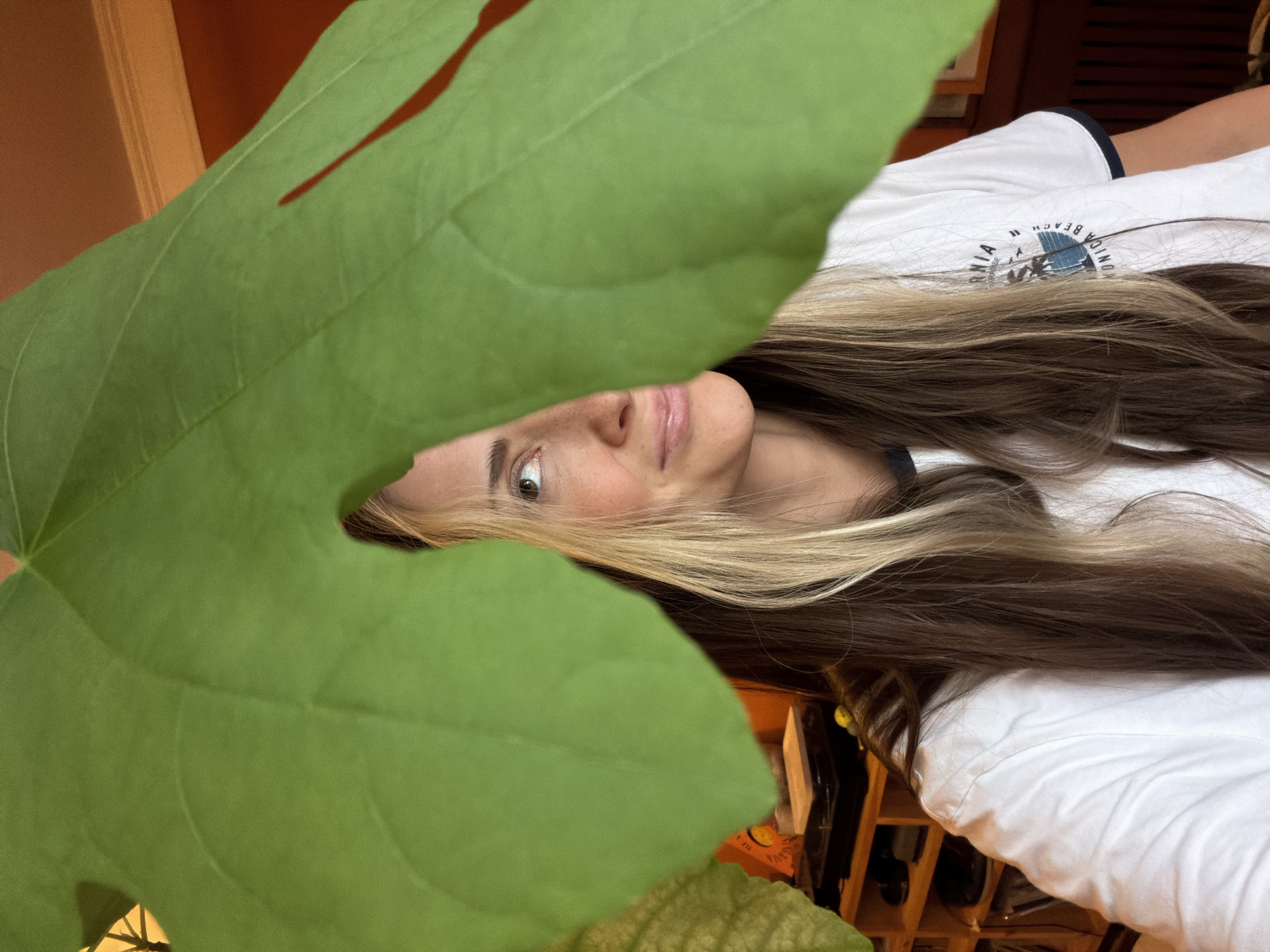 A close-up, sideways shot shows a person's face peeking out from behind a large, vibrant green leaf. The person, with fair skin and freckles, looks directly at the camera with bright, curious eyes. Their lips are slightly parted in a gentle smile, and their long, multi-toned hair, a mix of blonde and brown, cascades over their shoulder. They are wearing a white t-shirt with a dark trim around the neckline. On the t-shirt, a graphic design is visible, featuring a globe and text that reads "MONICA BEACH". The background is blurred, showing hints of warm-toned walls and wooden furniture, suggesting an indoor setting. The lighting is soft, creating a natural and intimate feel.