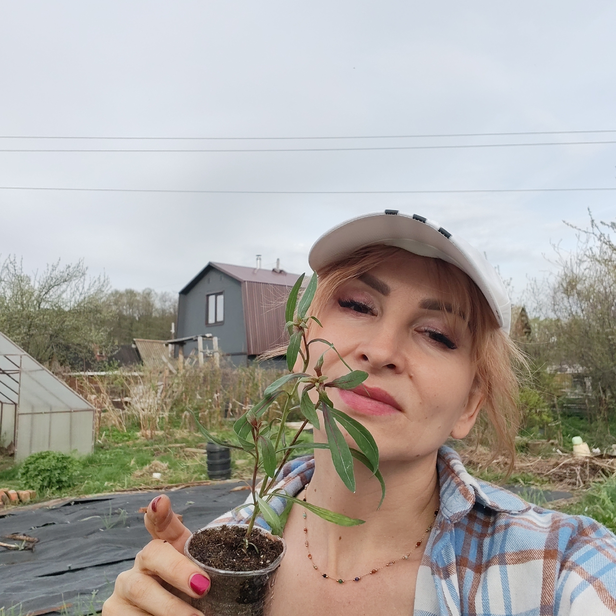 The image shows a woman holding a small potted plant in an outdoor setting. The woman is wearing a white baseball cap and a blue and white plaid shirt. She is also wearing a necklace. The plant is green with long, narrow leaves.
The background shows a garden with a greenhouse and a house. There is black plastic sheeting on the ground. The sky is overcast.
The city of Chaikovsky, Russia is not mentioned in the image.