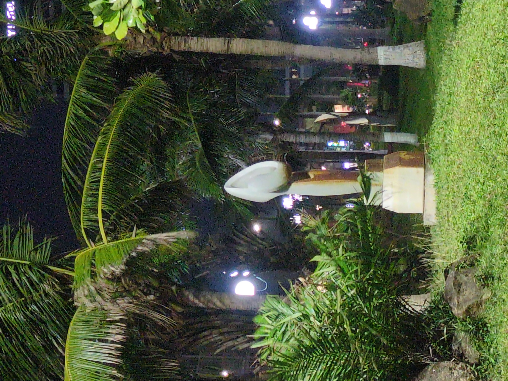 The image presents a nighttime scene in what appears to be a landscaped area in South Quy Nhon Ward, Vietnam. Palm trees dominate the left side of the frame, their fronds creating a dense, tropical atmosphere. To the right of the palm trees, a white, abstract sculpture sits atop a layered concrete or stone base. Lush, green grass covers the ground to the right of the sculpture, and smaller bushes and shrubs surround the base. In the background, the blurred lights of buildings suggest an urban setting, possibly reflecting off the surface of water. The scene is illuminated by the soft glow of streetlights or building lights, creating a contrast between the deep shadows in the foliage and the brighter surfaces of the sculpture and ground.
