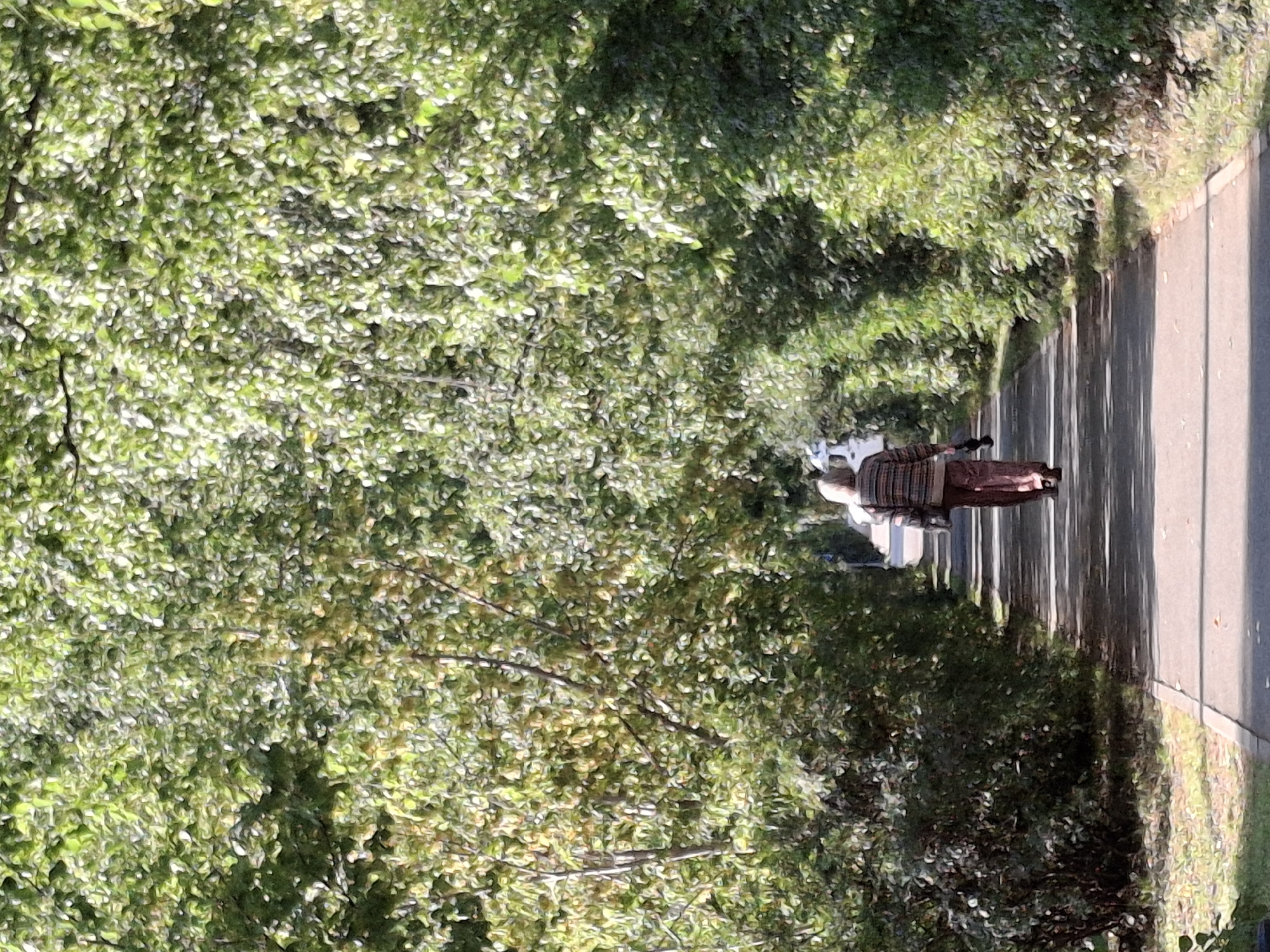 A lone person walks down a paved path lined by dense green trees and shrubs. The person is seen from behind, wearing a striped sweater and patterned pants, and carrying an object in their right hand. Sunlight dapples the path, creating shadows. The scene suggests a park or a tree-lined street in Elovo, Russia, during daytime.