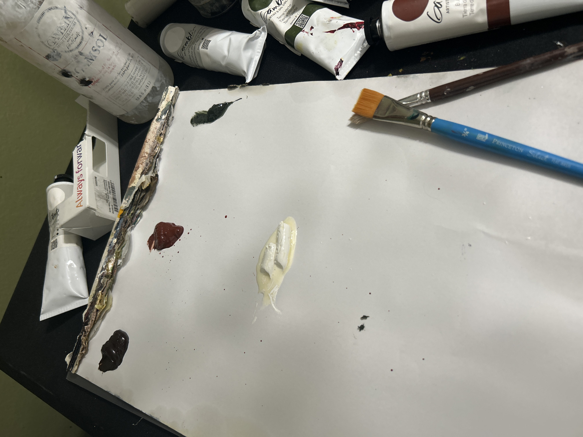 The image shows an artist's paint palette with various tubes of oil paint and brushes. The paint tubes include brands like Gamblin, with colors such as Terre Verte and a brown hue. A bottle of Gambsol is also present. Two paint brushes, one with a blue handle labeled "Princeton Select 3/4," lie on the palette. Dabs of different colored paints, including brown, green, and a light yellow, are scattered on the palette. A box labeled "Always Forward" is also visible. The image was taken indoors. There is no evidence to suggest the location is in Cape Coral, Florida.