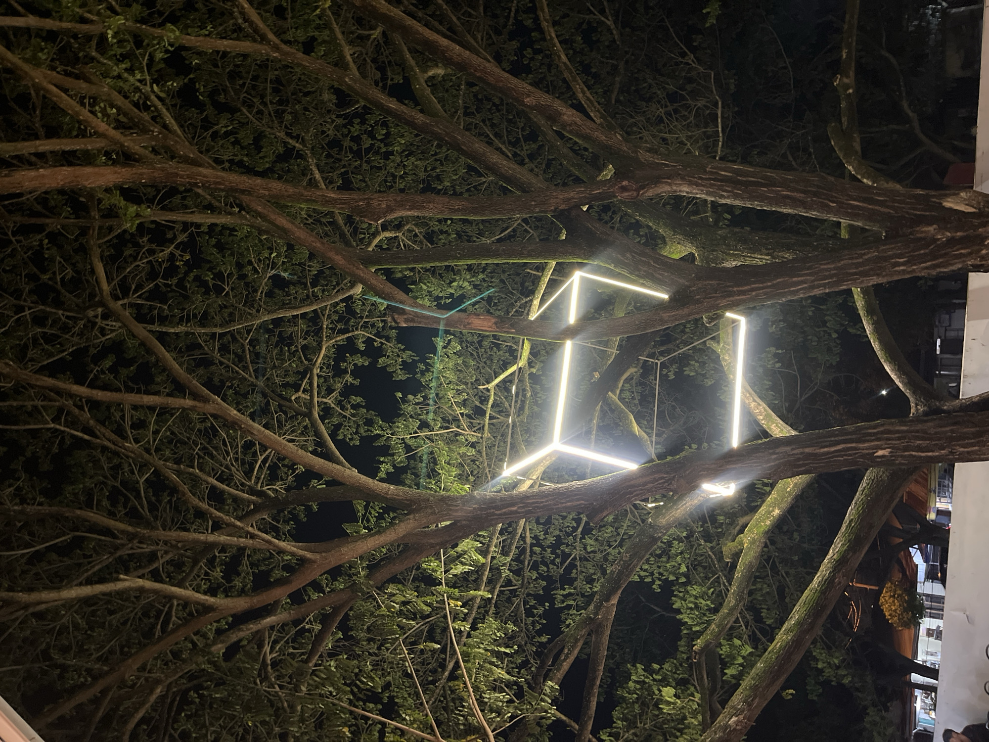 The image shows a low-angle view of a tree with bare branches intertwined against a dark night sky. Attached to some of the branches is a geometric light installation, seemingly a cube of bright white neon lights. The tree has green foliage towards the lower part of the frame. The location is most likely in the city of Lhokseumawe, Indonesia.