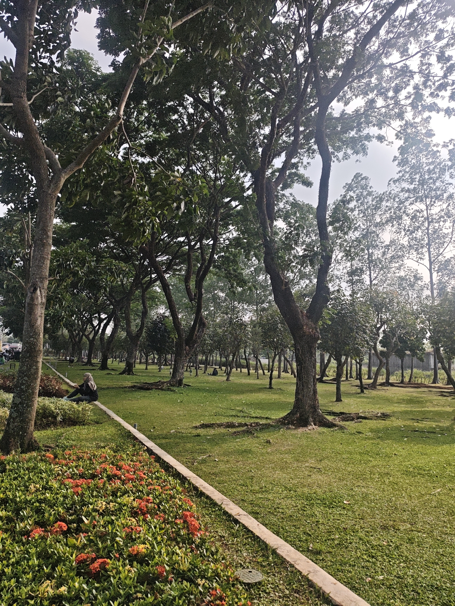 In a park in Bacin, Indonesia, a woman wearing a hijab and dark clothing sits on the edge of a raised concrete border. She is looking to her left, with her legs bent and feet resting on the grass. In front of her, a lush flower bed bursts with bright orange and yellow blossoms. The park is filled with numerous trees of varying sizes, their branches creating a canopy over the green, manicured lawn. Some trees are slender and tall, while others have thick, gnarled trunks. In the distance, more trees form a dense backdrop, and the sky is overcast. A few other individuals are scattered throughout the park, some appearing to sit or stand among the trees. The scene suggests a tranquil day at a public park.