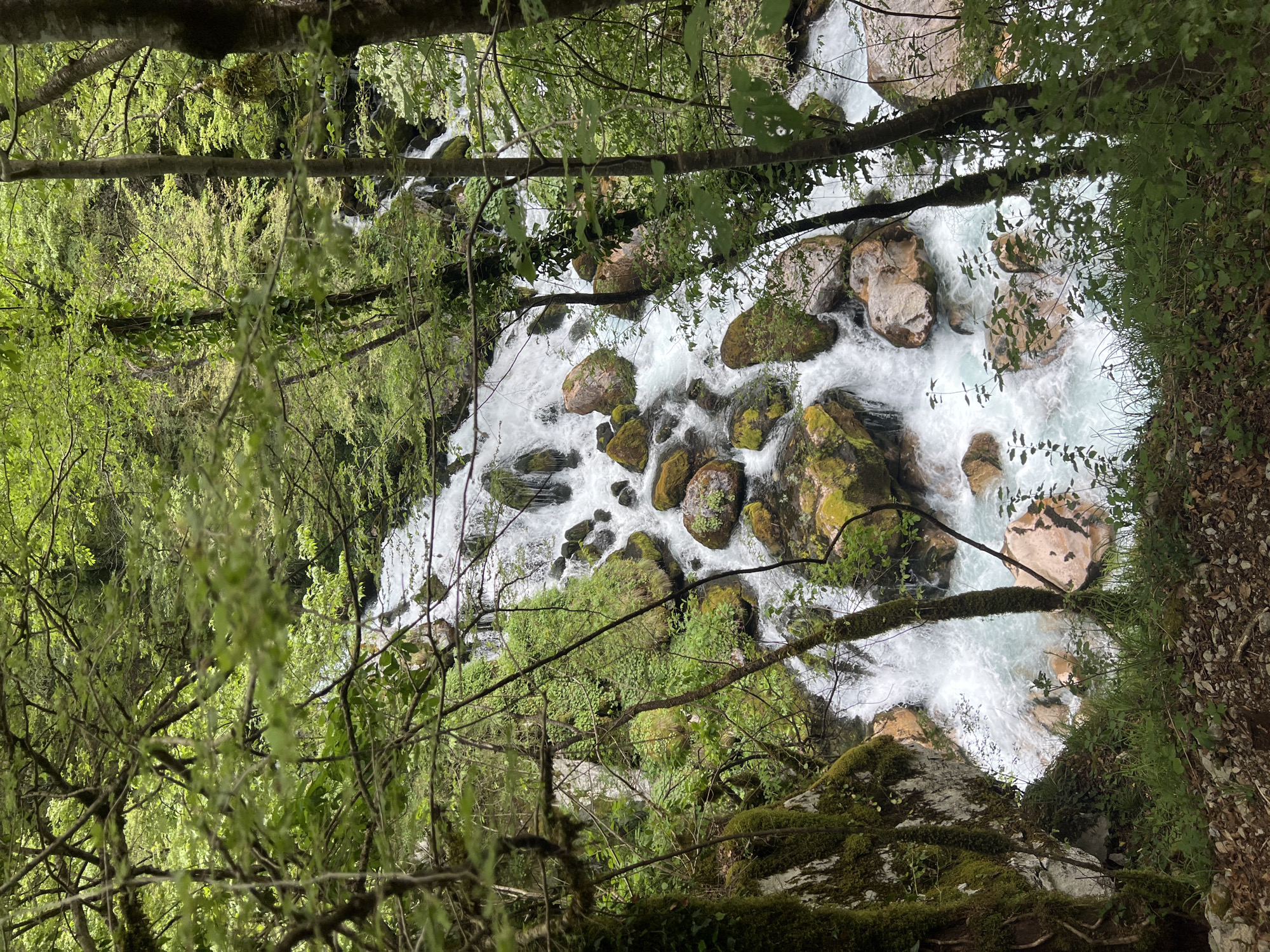 The image shows a fast-flowing river cascading over rocks in Lazba, Montenegro. The river is surrounded by lush green vegetation, including trees and moss-covered rocks. The camera angle is from above, looking down at the river. The water is white and foamy, indicating rapid movement. The rocks in the river are various sizes and covered with moss. The trees on either side of the river form a canopy, partially obscuring the sky.