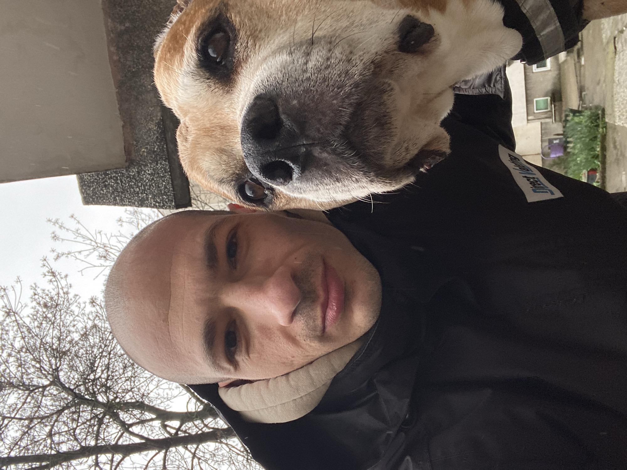 A close-up, slightly rotated portrait features a bald man and a tan and white dog. The man has a fair complexion and is wearing a black jacket with a beige collar visible beneath. The dog's face is closer to the camera, with a large black nose and brown eyes. A white label with blue text, "Direct Mailing", is visible on the jacket. Bare tree branches are visible in the lower part of the image. The background suggests an urban environment, with buildings visible, likely in the city of Pleven, Bulgaria.