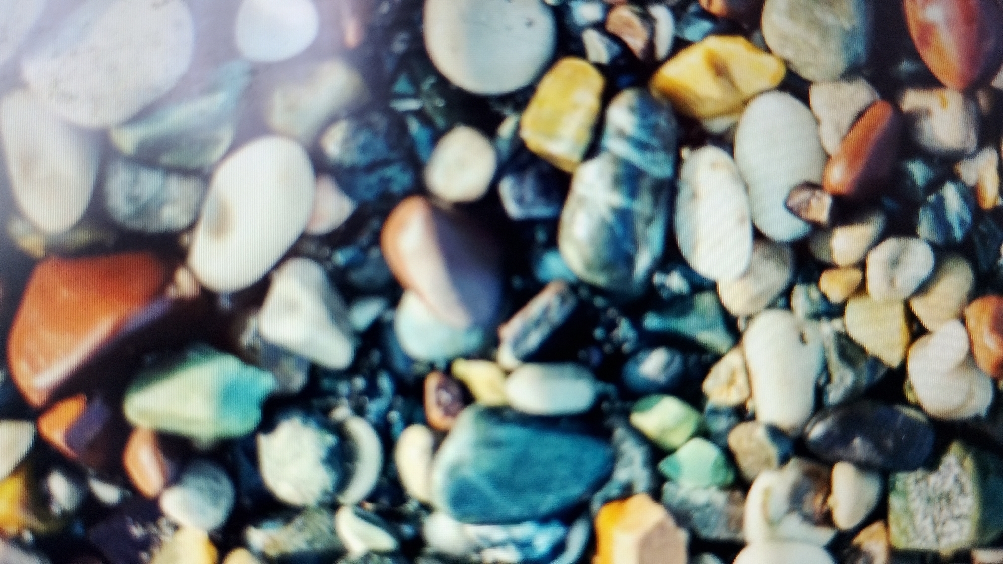 The image is a close-up, blurred, overhead view of a collection of smooth, colorful pebbles. The pebbles vary in size, shape, and color, with notable hues including white, gray, yellow, orange, green, and blue. The stones appear to be wet, reflecting some light. The scene is an outdoor environment, consistent with a natural setting where pebbles are found. There is no indication of people, actions, or interactions. The setting is not specifically identifiable as being within the city of Smolyan, Bulgaria, based solely on the visual information presented.