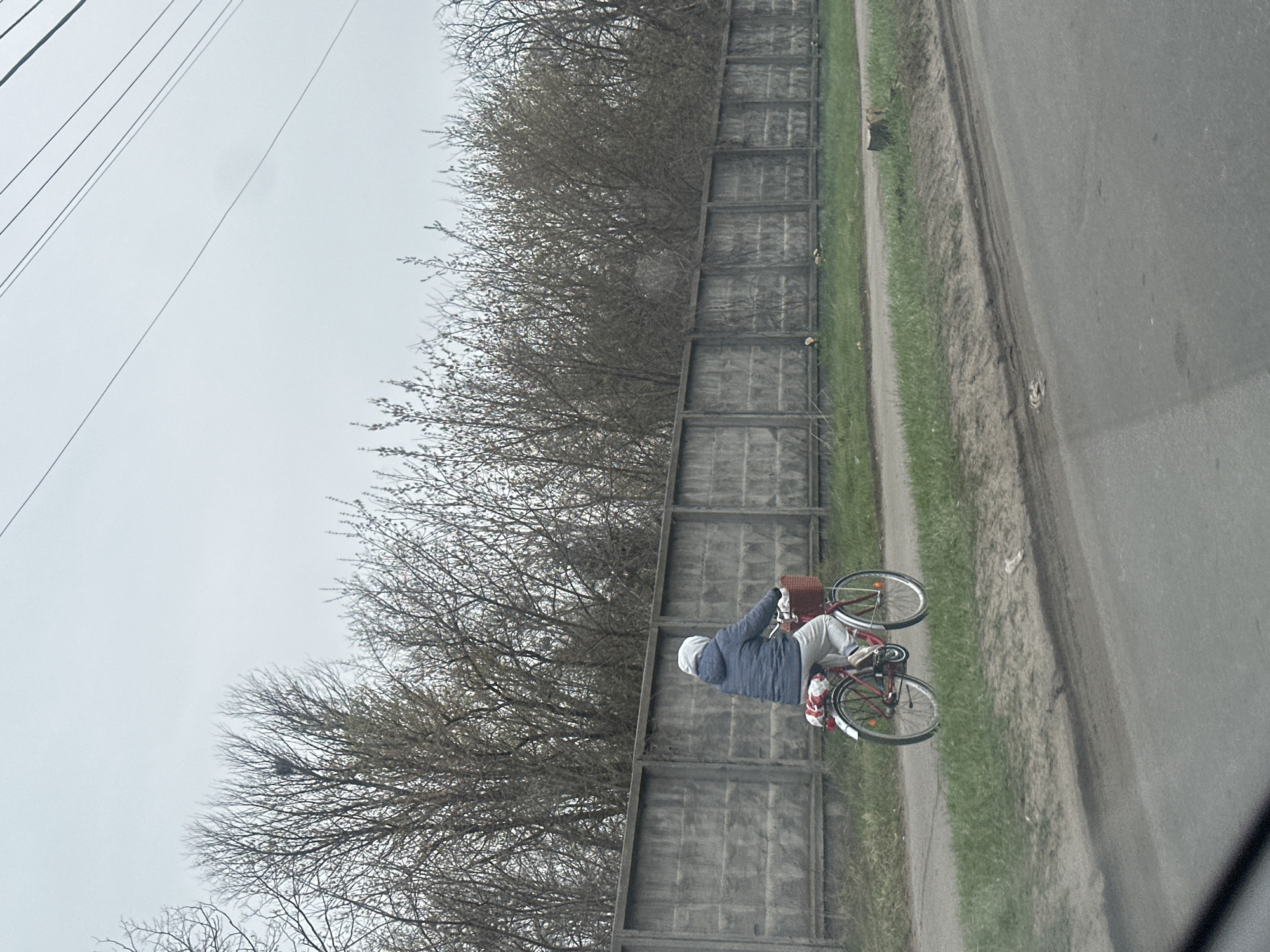 A person on a red bicycle is seen riding along a paved road next to a grassy verge and a concrete fence. The fence runs parallel to a line of trees that are largely bare of leaves. Overhanging the fence are electrical lines. The sky is overcast. The image was likely taken from a moving vehicle. It is not possible to confirm that the location is Kyiv, Ukraine based on the visual information available.