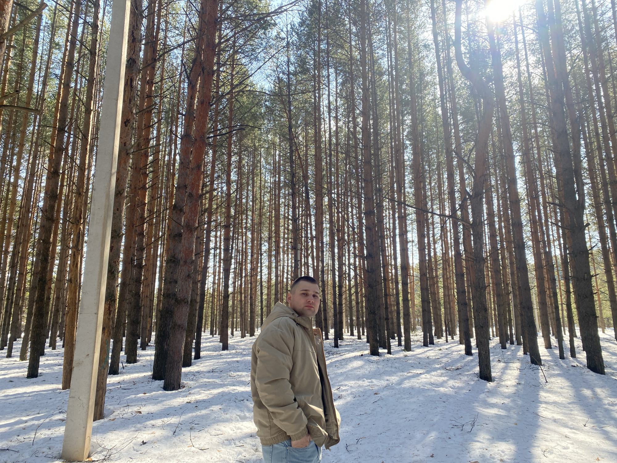 A male individual stands in a snow-covered pine forest, located within or bordering the city of Chaikovsky, Russia. The subject, an adult male with short dark hair, is positioned slightly left of center, facing slightly right, and looking directly at the camera. He wears a light tan hooded jacket and light blue jeans, with his left hand in his left pocket. To the left of the subject, a tall, narrow concrete pole extends vertically. The environment consists of numerous tall, slender pine trees with reddish-brown trunks and green foliage, casting long shadows across the snow-covered ground. A clear blue sky is visible through the tree canopy, and bright sunlight, originating from the upper right, produces a visible lens flare.