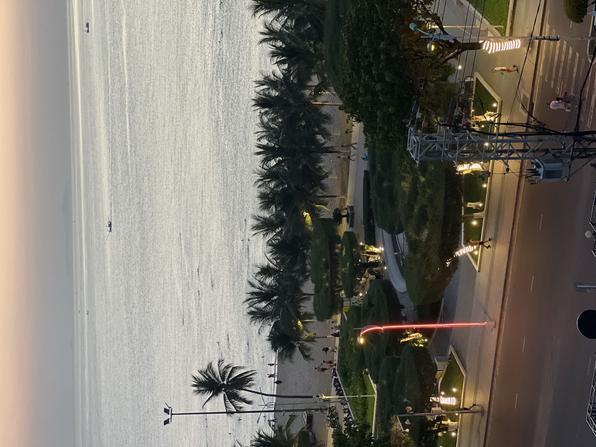 An elevated view captures a section of Nha Trang's beachfront area at dusk. The ocean occupies the upper half of the frame, with a gentle horizon line separating it from a pale, orange-tinged sky. Several small boats are visible on the water, some appearing to be in motion. Below the ocean, a sandy beach is lined with numerous palm trees. A tall lamppost stands near the left edge of the beach. Further inland, a park-like area features manicured green bushes, illuminated by decorative lights. A paved walkway runs through this area, and a few individuals are seen walking or standing. A road with white lane markings is present in the foreground, with a few people crossing at a marked pedestrian crossing. A utility pole with electrical equipment and wires is prominent in the lower right section of the image. The overall atmosphere is calm and serene, suggesting the end of a day by the coast.
