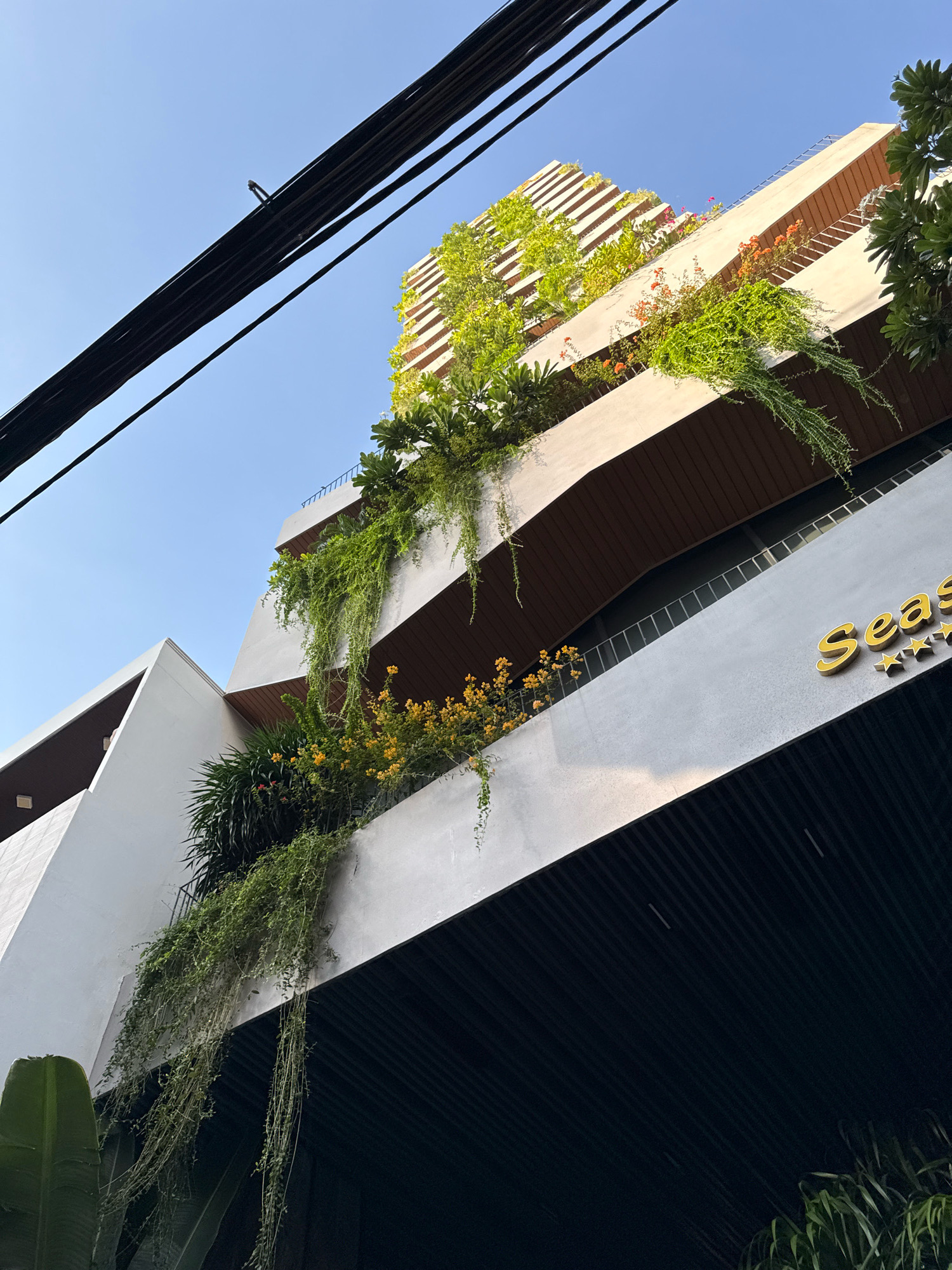 The image shows a low-angle, upward view of a modern building with extensive greenery on its balconies and facade. The building's architecture is characterized by clean lines and contrasting materials, with white concrete sections and dark wooden accents. Lush green plants, including hanging vines and leafy foliage, cascade down the sides of the building, creating a striking visual contrast with the urban setting. Some sections of the building feature tiered balconies filled with vegetation. Yellow flowers are visible among the greenery on one of the balconies. The building's facade also displays a prominent gold-colored sign that reads "Seas" followed by four star icons. In the foreground, black electrical wires stretch across the clear blue sky, with one wire featuring a small support clamp. The overall impression is a harmonious blend of contemporary architecture and natural elements, likely located in a vibrant city environment. The text "Seas" suggests the hotel or establishment might be related to the sea. Considering the hotel chain "Seaside", and the presence of the sea in Nha Trang, Vietnam, the building is identified as the Seaside Hotel Nha Trang.