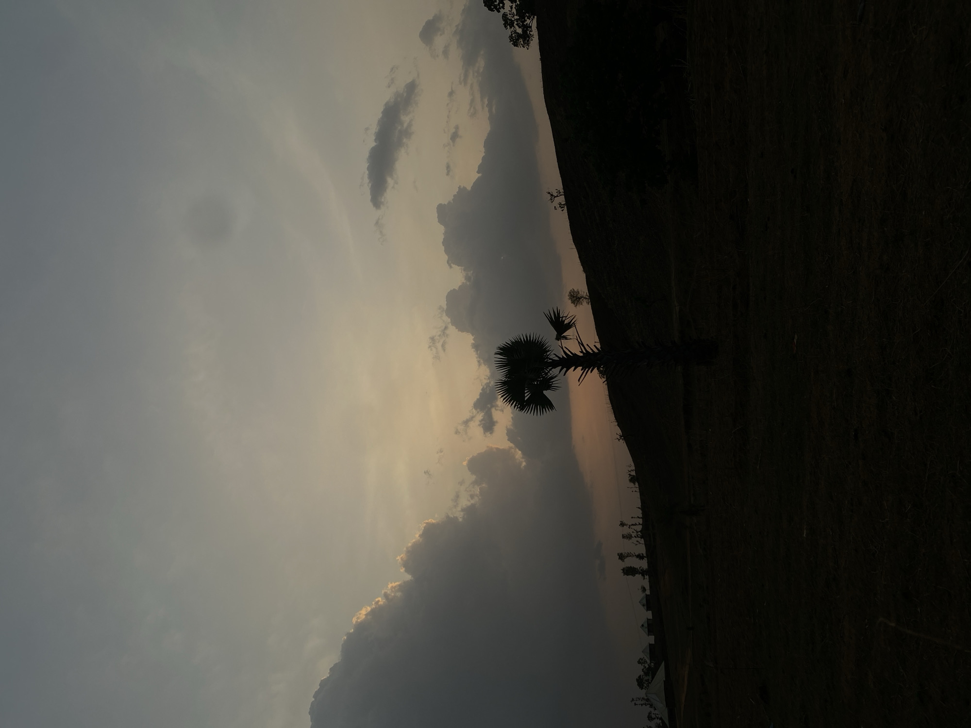 The image depicts a landscape at dusk, likely located near Maigizo, Nigeria. The sky is partially obscured by clouds, with a noticeable hazy spot. Silhouetted against the sky is a palm tree. The foreground is dark, suggesting either dense vegetation or a shadow falling across a field. Small, faint structures or vegetation line the horizon. The overall atmosphere is dim and somewhat muted.