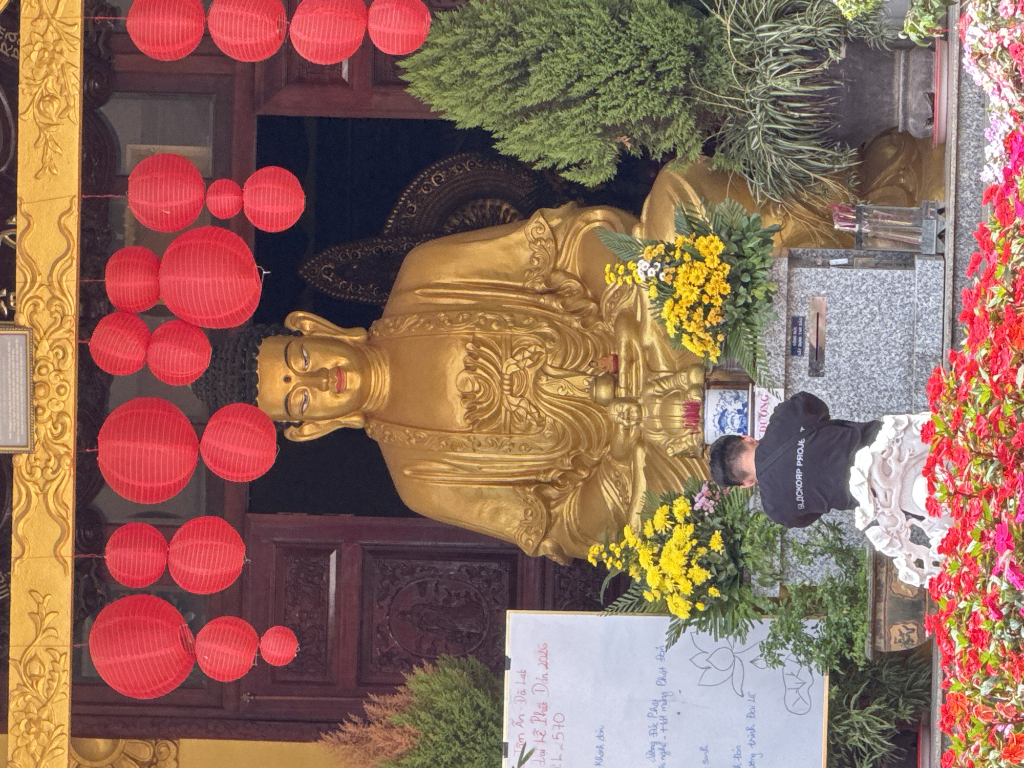 This vertical, outdoor photograph captures a scene at a Buddhist temple, likely in Da Lat, Vietnam, during the celebration of Buddha's Birthday. A large, golden statue of Buddha is the central focus, adorned with offerings of yellow flowers. In front of the Buddha statue, a person wearing a black hoodie with "BLACKCORP PROJE" printed on the back is bowing, suggesting an act of prayer or respect.
The temple setting is suggested by the traditional wooden architecture and the presence of red paper lanterns hanging in clusters, a common decoration for Buddhist festivals. Green foliage, including a prominent pine tree and other plants, adds to the natural and spiritual ambiance. The lighting suggests it might be daytime, but the exact time is not discernible.
Visible text includes Vietnamese inscriptions on a whiteboard and a banner, with phrases like "Tâm An - Đà Lạt" (likely the temple's name and location), "Đại Lễ Phật Đản 2026" (Great Buddha's Birthday Ceremony 2026), and other devotional messages related to the event. The overall mood appears to be solemn and respectful, befitting a religious ceremony.
