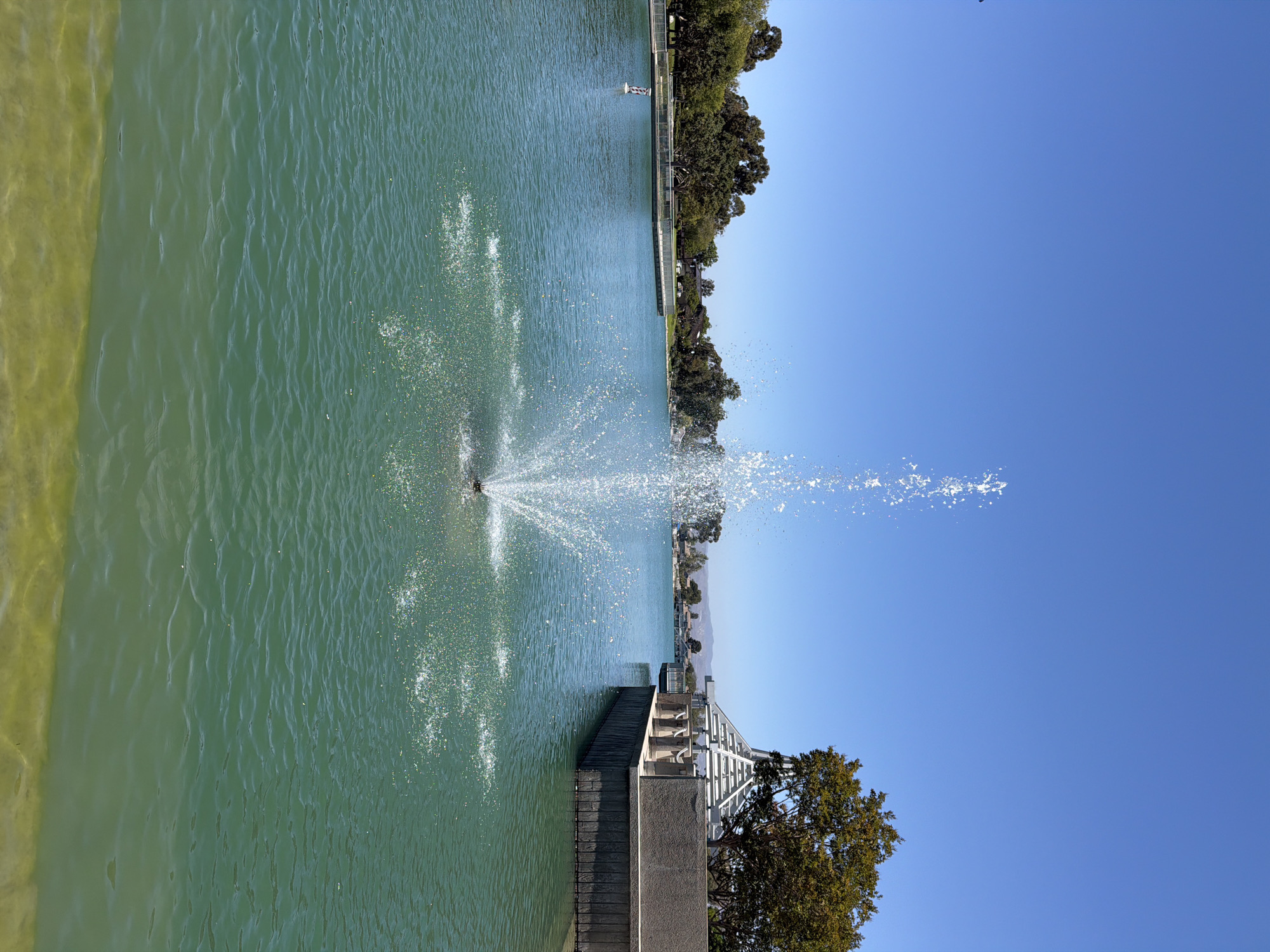 A water fountain sprays water in the center of a man-made lake in Irvine, California. The lake is surrounded by trees and buildings. The sky is clear and blue. The fountain is a common feature in parks and public spaces, and this particular fountain appears to be in a well-maintained park. The water is a clear turquoise color and the fountain spray is a bright white. The lake is surrounded by a paved walkway and a railing. The trees on the bank of the lake are lush and green. The buildings in the background are modern and well-kept.