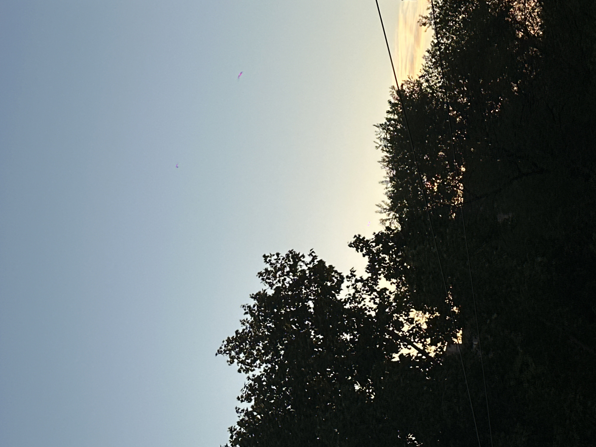 The image shows a sky with a gradient from blue to yellow, possibly at sunrise or sunset. Silhouetted tree branches fill the right side and bottom of the frame. Two thin lines, possibly power lines, run diagonally across the upper right quadrant. There are a couple of purplish spots in the upper left quadrant, likely lens flare. The location is assumed to be Biysk, Russia. No people or discernible objects are present.