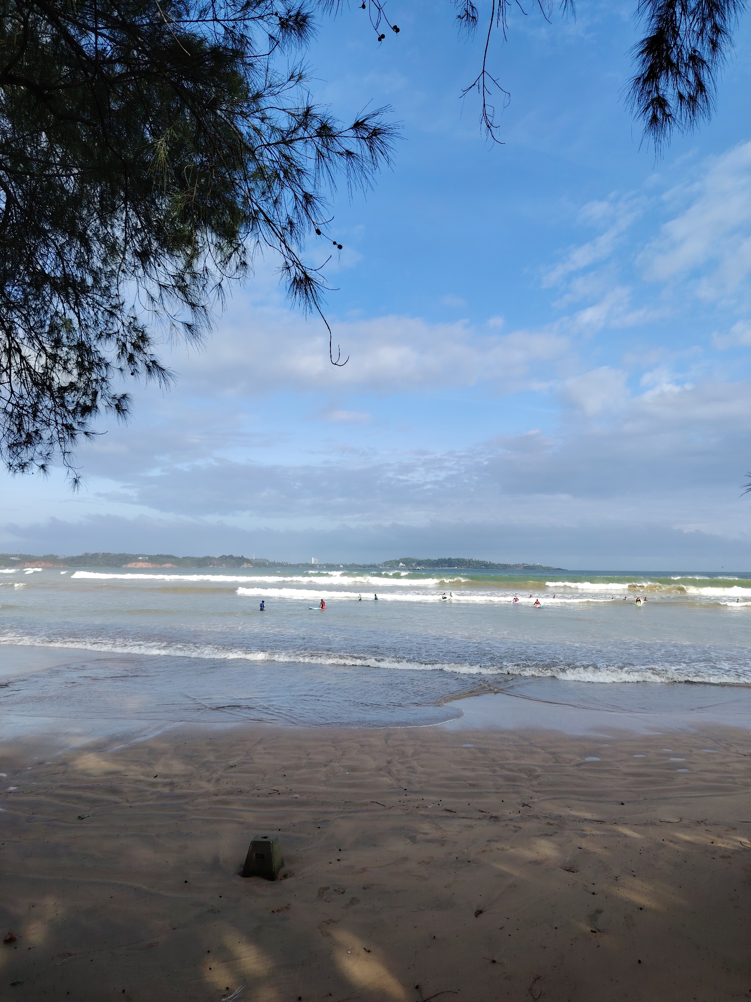 The image captures a beach scene in the city of Unknown, Unknown, under a partly cloudy blue sky. Dark, needle-laden branches of a conifer, possibly a pine, with small cones, extend into the frame from the upper left and top, silhouetted against the sky. The ocean features moderate waves breaking towards a sandy shore. Approximately nine individuals are present in the water, some appearing to be wading or learning to surf on small boards. The wet sand in the immediate foreground exhibits ripple patterns, and a single weathered concrete block, roughly trapezoidal with an internal void, rests on the sand near the water's edge. In the far distance, a green landmass with a few indistinct structures, including a white tower, is visible across the water.
