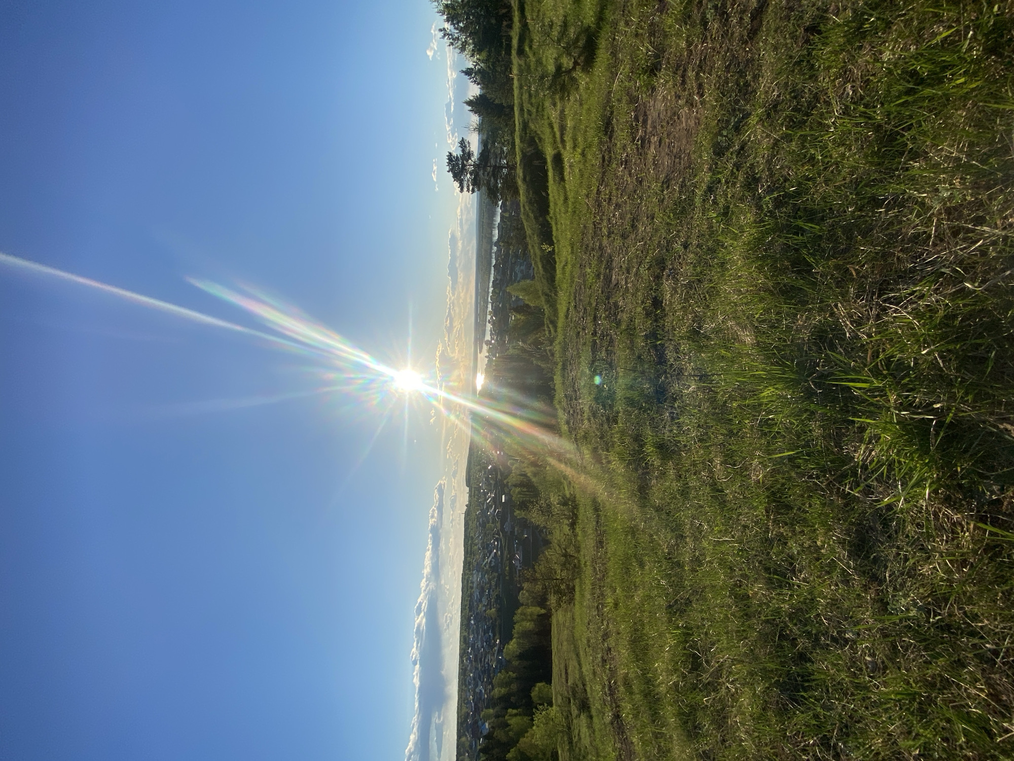 The image depicts a landscape scene in Прикамский, Russia, with the sun shining brightly, creating a lens flare. The foreground is composed of a grassy slope. In the distance, there is a view of the city, a river, and a horizon with clouds. The sky is a clear blue.
