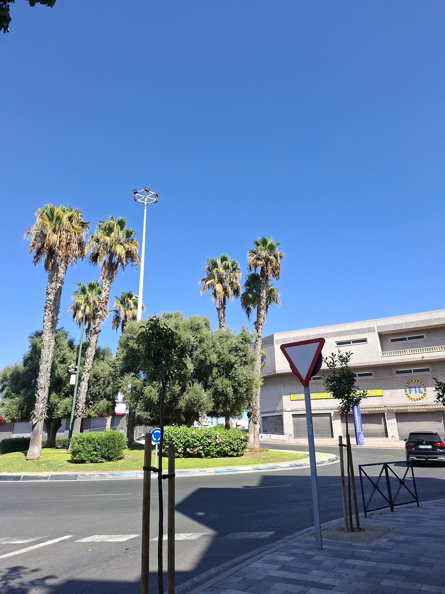 The image depicts a street scene in Torrevieja, Spain, under a clear blue sky. Several tall palm trees are prominently featured, with their fronds reaching towards the sky. A tall lamppost with multiple lights stands behind the trees. In the background, a building with a modern facade and closed shutters is visible. A sign with the text "FIL" in a yellow circle is displayed on the building. A black car is parked in front of the building. A red and white triangular yield sign is positioned near the road. The foreground shows a paved sidewalk and a street with lane markings. Small trees and green bushes are present along the sidewalk and median.