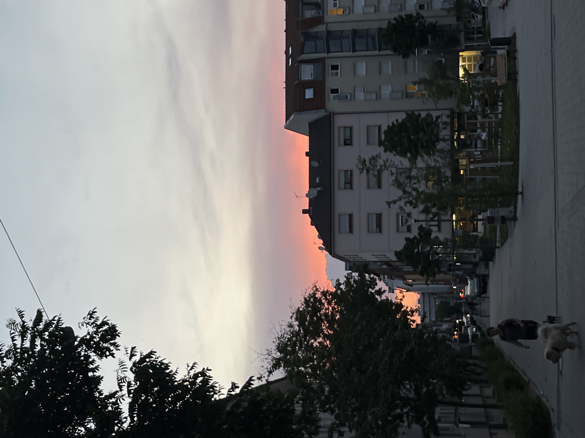 The image depicts a street scene in a European city at dusk, characterized by buildings on either side of a paved walkway. A dramatic sunset paints the sky with vibrant hues of pink and orange, contrasting with the muted tones of the urban environment. In the foreground, a woman is walking two dogs, a larger fluffy one and a smaller one, on the paved path. Further down the street, traffic lights and street lamps are visible, illuminating cars parked along the road and pedestrians in the distance. The architecture of the buildings suggests a residential or mixed-use area, with apartments and shops lining the street. Trees are planted along the walkway, and a small park-like area with benches is visible on the right side of the street. The overall atmosphere is one of quiet evening activity in a city setting.