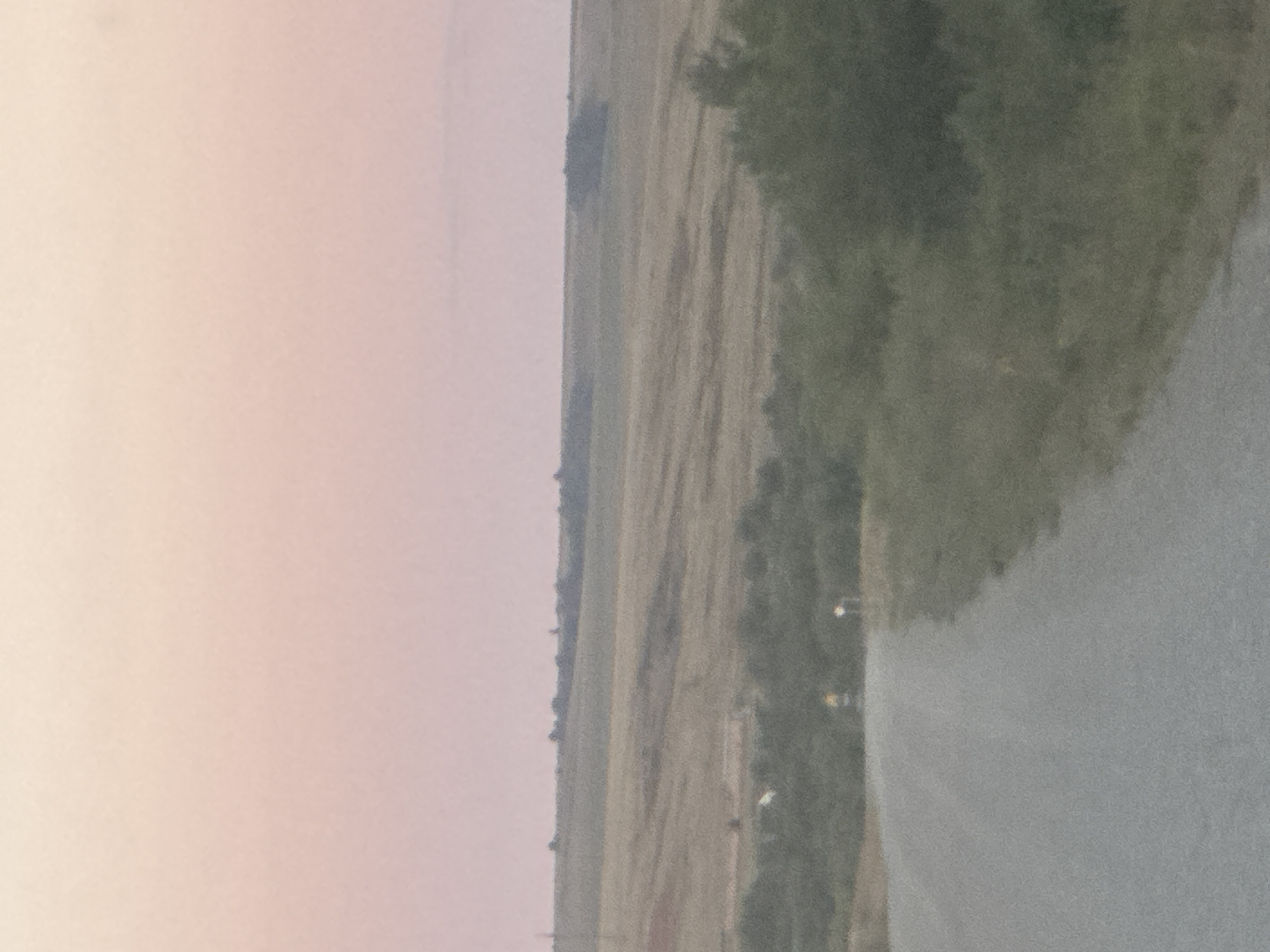 The image depicts a desolate rural landscape under a pale pink sky. A grey asphalt road curves into the distance from the lower left of the frame, bordered by overgrown green vegetation. In the middle ground, rolling fields of dry grass and some scattered trees stretch towards a hazy horizon. The distant landscape is further softened by a light atmospheric haze. Two indistinct yellow lights are visible on posts along the side of the road in the middle distance, suggesting the presence of a remote roadway. The overall impression is one of quiet solitude and vast, open space.
