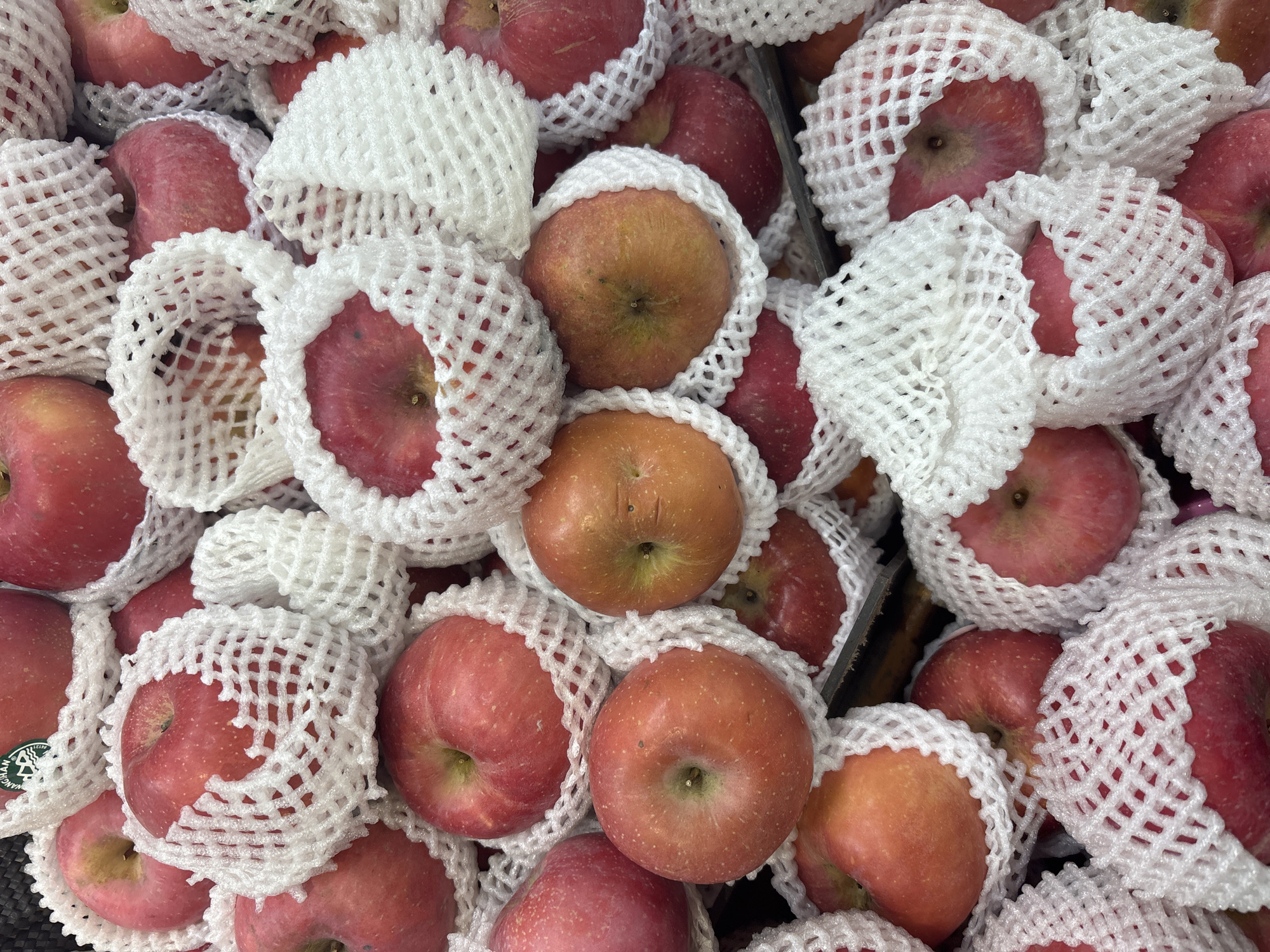 A close-up, overhead shot displays a large pile of ripe apples, mostly red with some tinged with orange, each individually wrapped in white protective foam netting. The apples are tightly packed together, creating a textured surface. Some apples show small specks or blemishes. The netting is consistent in its diamond-patterned design. The background is indistinct, suggesting the apples are likely displayed for sale in a market or grocery store in North Jakarta, Indonesia, as indicated by the context.