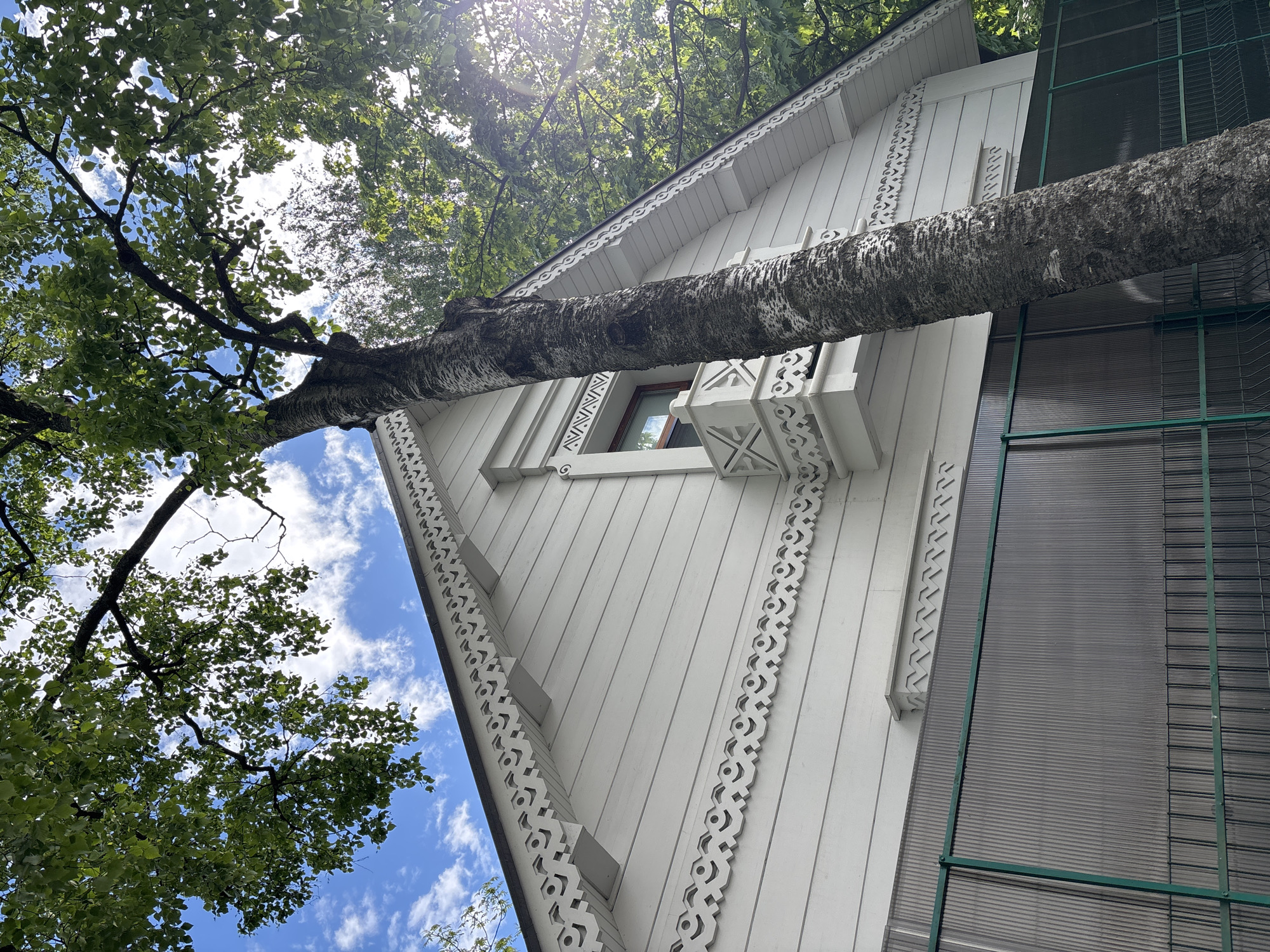 A low-angle shot shows a white, ornate building with decorative carvings along its gables and around a window. A tree trunk extends horizontally across the building's facade. The building has a window with a brown frame. The building's right side has translucent panels with green metal framing. Tree foliage surrounds the building with glimpses of a blue sky with clouds. The location is Saint Petersburg, Russia.