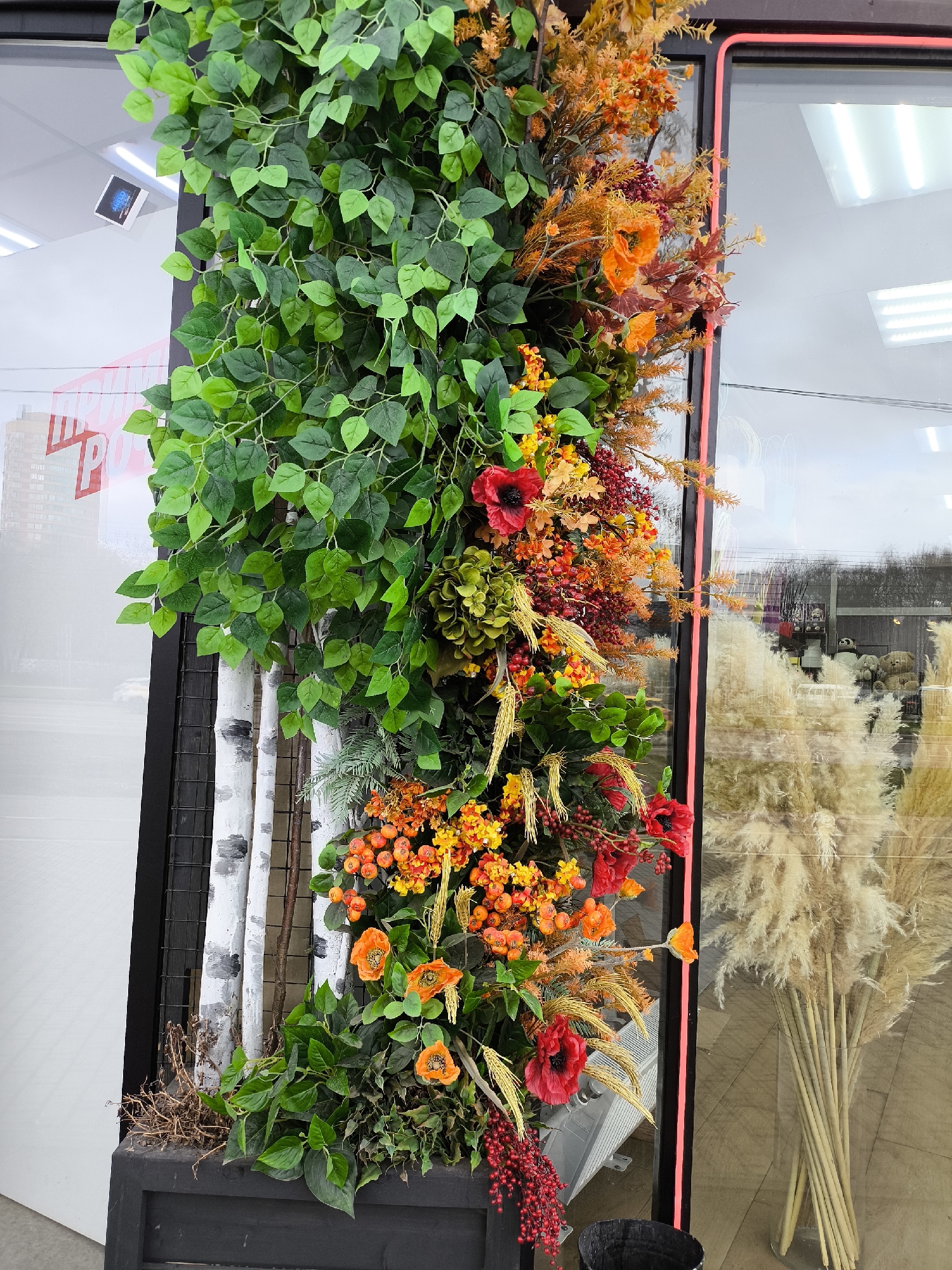 This image depicts a decorative storefront installation in Khimki, Russia. The installation primarily features a vertical arrangement of artificial foliage, including green leafy vines, birch-like tree trunks, and a variety of autumn-colored flowers and berries in shades of orange, red, and yellow.
The arrangement is positioned against a window with a black frame highlighted by a red neon outline. The window reflects the surrounding environment, including buildings and a street scene. Inside the store, a display of pampas grass can be seen.
The installation is located at the entrance of a business, as inferred from the store’s signage visible on the window to the left.