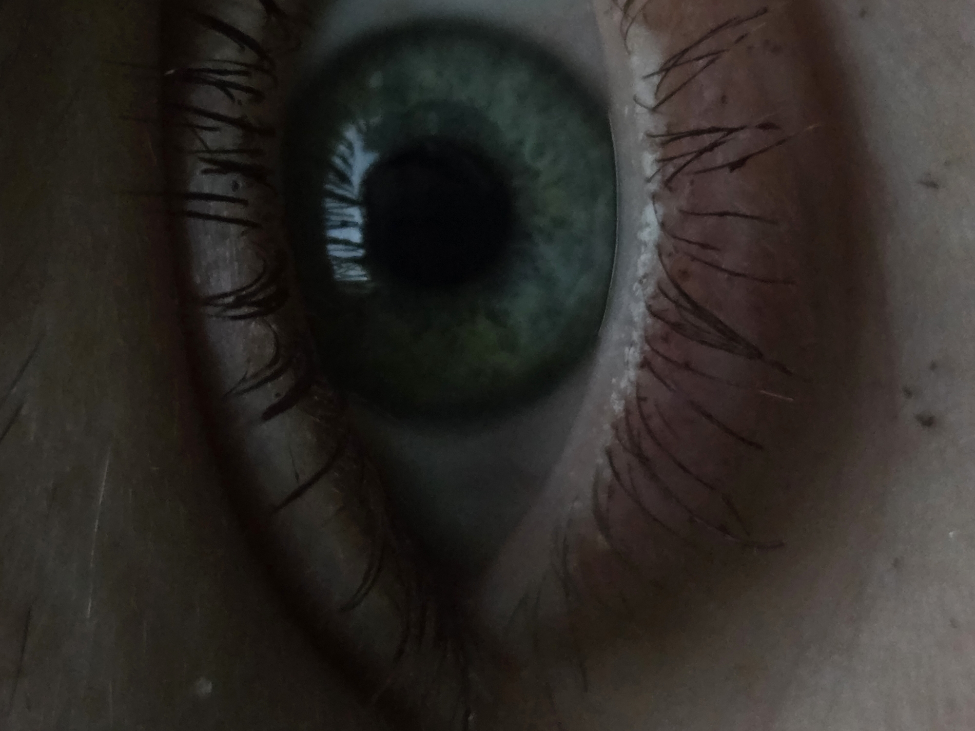 A close-up, macro photograph captures the intricate details of a human eye. The iris is a striking emerald green, speckled with darker, almost black pigments that create a mesmerizing pattern. Within the iris, the pupil appears as a deep, dark void, reflecting a faint bluish light. Eyelashes, dark and numerous, frame the upper and lower eyelids, their tips creating a delicate fringe against the skin. The skin itself, visible around the eye, shows a subtle texture with pores and a hint of redness, particularly along the eyelid. The lighting in the image is dim, casting soft shadows and contributing to the overall moody and intimate atmosphere. The background is out of focus, but appears to be a muted, dark tone, possibly a wall or fabric, further emphasizing the eye as the sole subject.