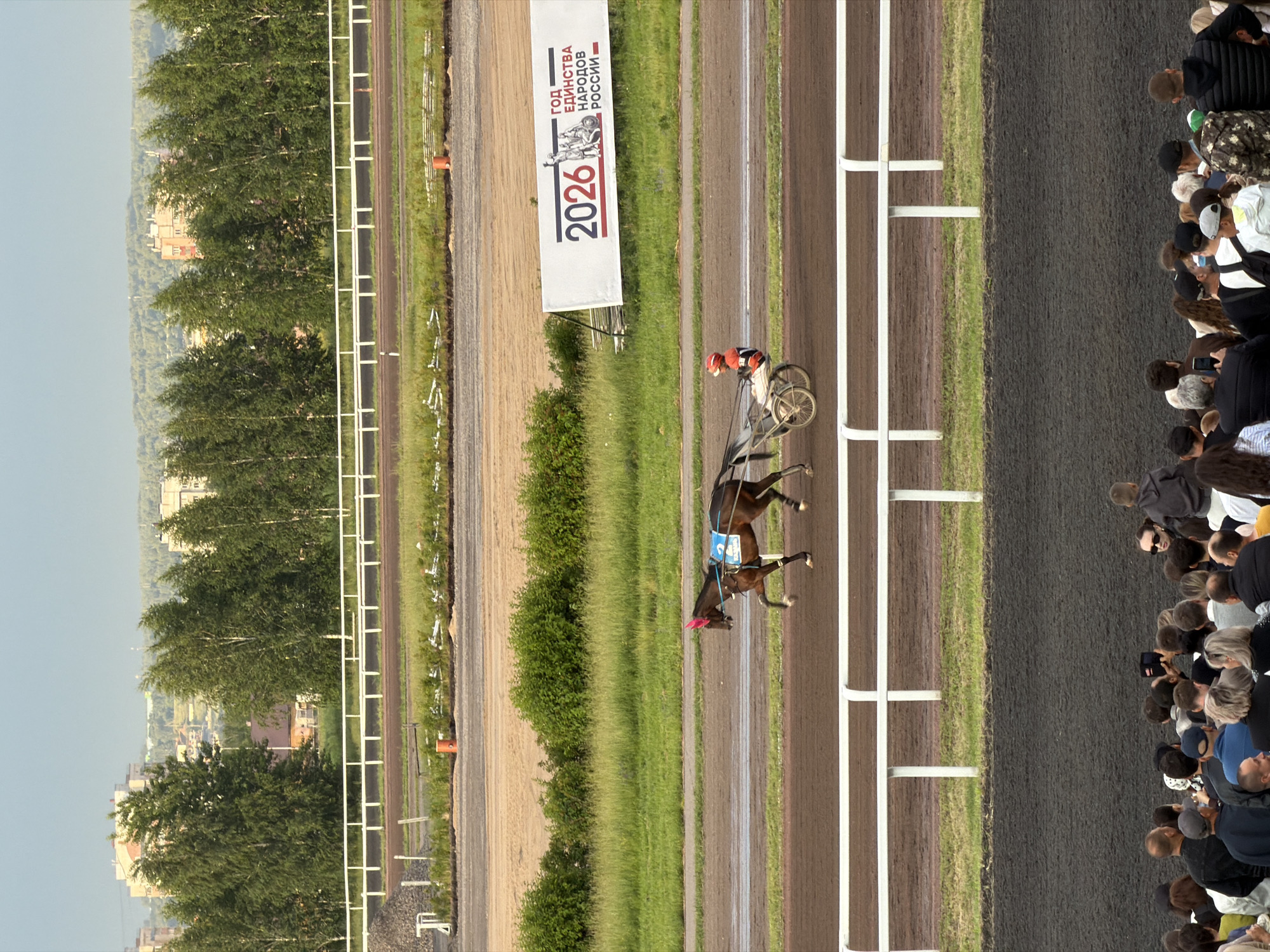 A horse-drawn sulky races on a dirt track at a racetrack, with a driver wearing a red helmet and suit. The horse has a pink harness. Spectators are visible in the foreground, some holding cameras. In the background, there are trees, buildings, and a banner that reads "2026 ГОД ЕДИНСТВА НАРОДОВ РОССИИ." The sky is overcast.
