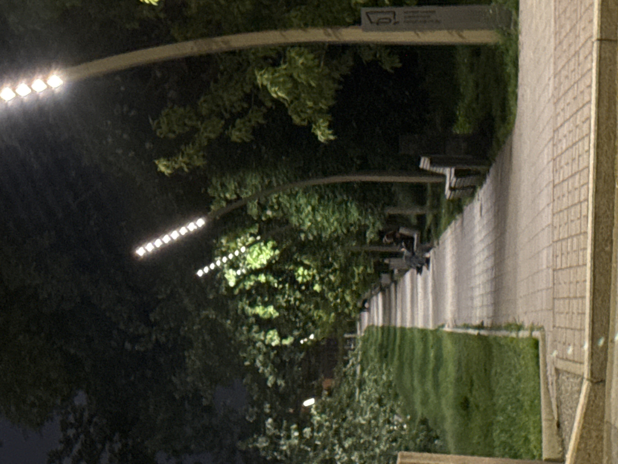 At night, a sidewalk with a brick wall on the right side of the frame leads to a row of benches under a pergola covered with trees. Streetlights illuminate the sidewalk and the trees. A grassy area is adjacent to the sidewalk on the left. The location is suggestive of a park or landscaped area in Saint Petersburg, Russia.