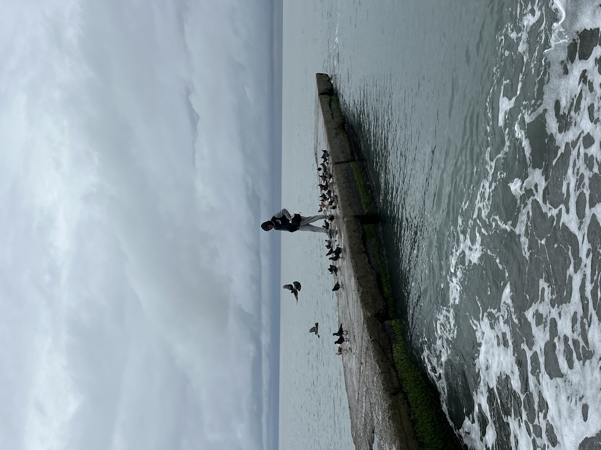 On an overcast day, a man stands on a concrete pier near Sochi, Russia. He is surrounded by a flock of black birds. The pier is partially covered in green moss. Waves crash on one side of the pier, creating white foam. In the background, the horizon line separates the calm water from the grey, cloudy sky.