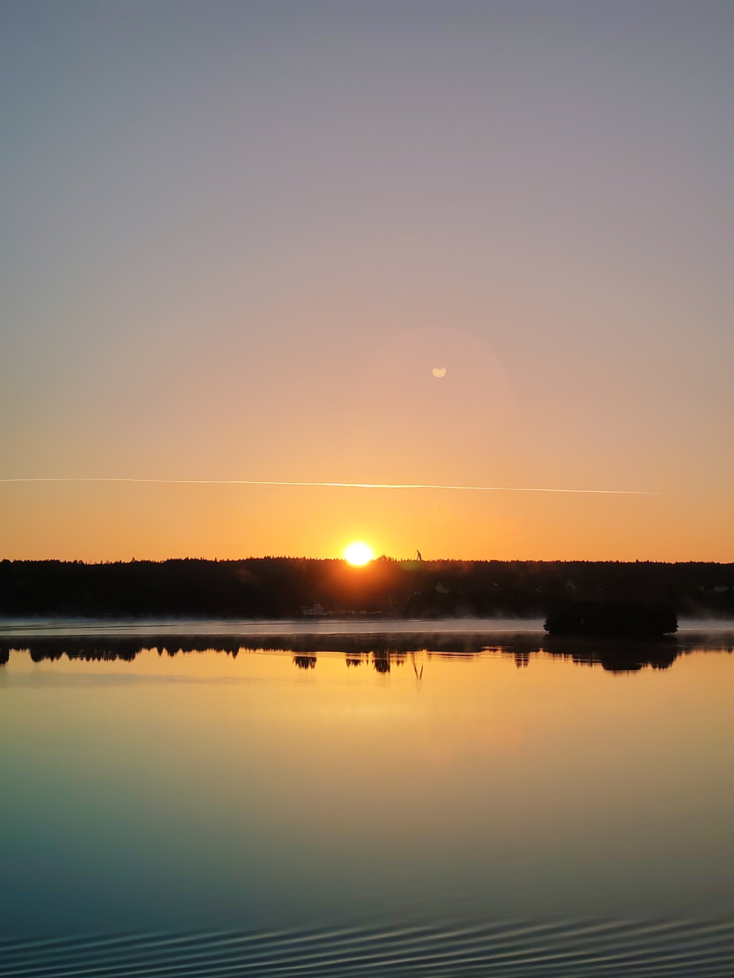 A vertical, outdoor, medium shot captures a tranquil sunrise over a calm body of water. The sun, a bright orange orb, is just beginning to crest the dark silhouette of a treeline that spans the horizon. A faint line of condensation from an airplane stretches horizontally across the sky above the treeline. The sky transitions from a pale blue at the top to a warm orange near the horizon. A sliver of the moon is visible in the upper portion of the sky, slightly to the left of center. The water's surface is a mirror, reflecting the sunrise colors and the dark treeline, with a faint mist rising from the water's surface in front of the treeline. In the foreground, the water shows subtle ripple patterns. There are no people or animals visible in the image. The scene appears to be a natural landscape, possibly a lake or a wide river, at the edge of a wooded area. The context of Devyatiny, Russia, is not visually evident from the image itself.