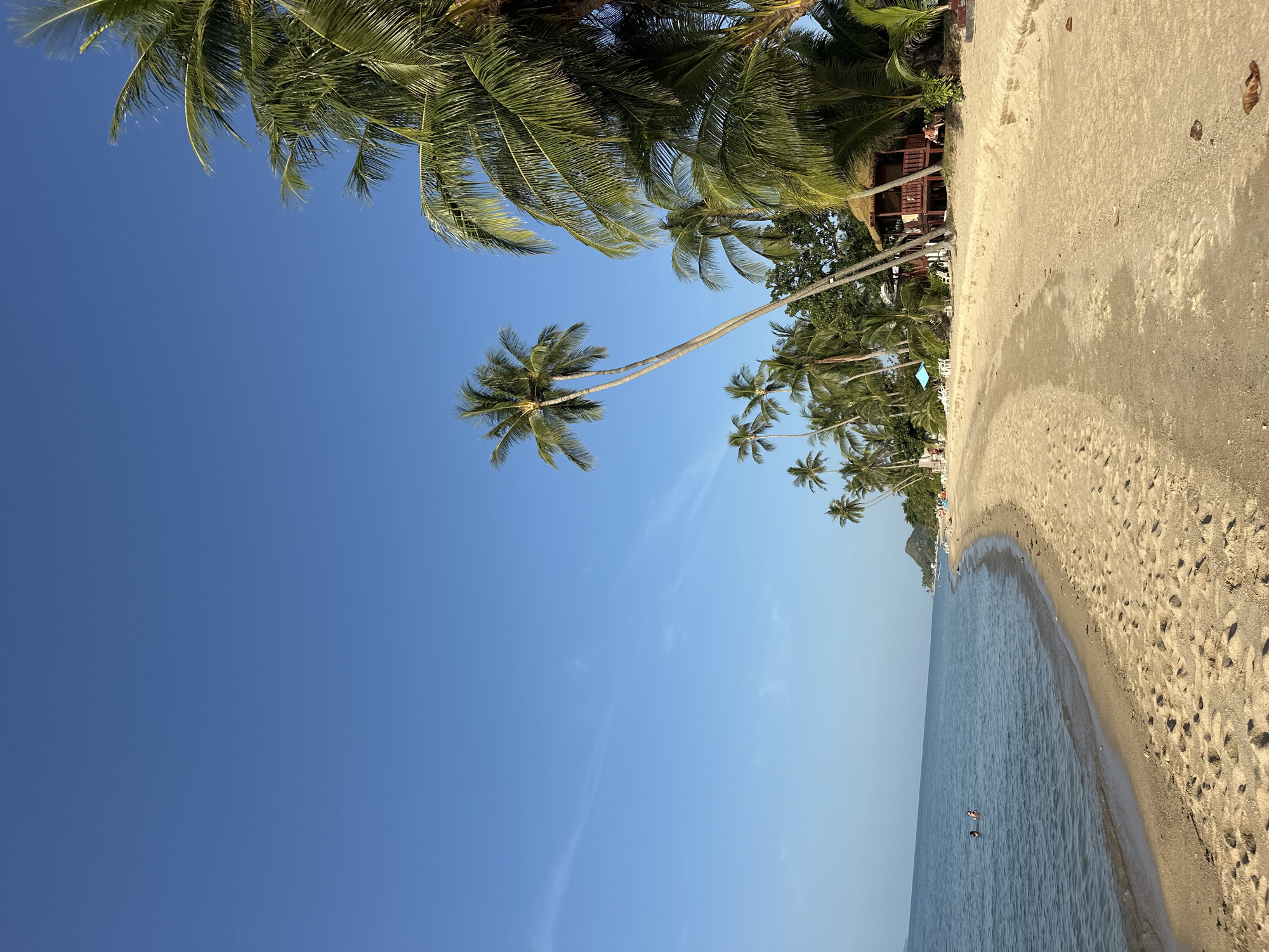 A sandy beach lines the coast of Ko Samui District, Thailand, under a clear blue sky. Lush green palm trees fringe the shoreline, with several leaning towards the water. A small, rustic wooden bungalow with a thatched roof sits nestled amongst the trees, appearing to be a rental accommodation. In the distance, a few people are visible relaxing on lounge chairs and walking along the beach. Two individuals are in the calm, blue water, appearing to swim or wade. The sand is light brown and marked with footprints. The overall scene depicts a serene tropical paradise.
