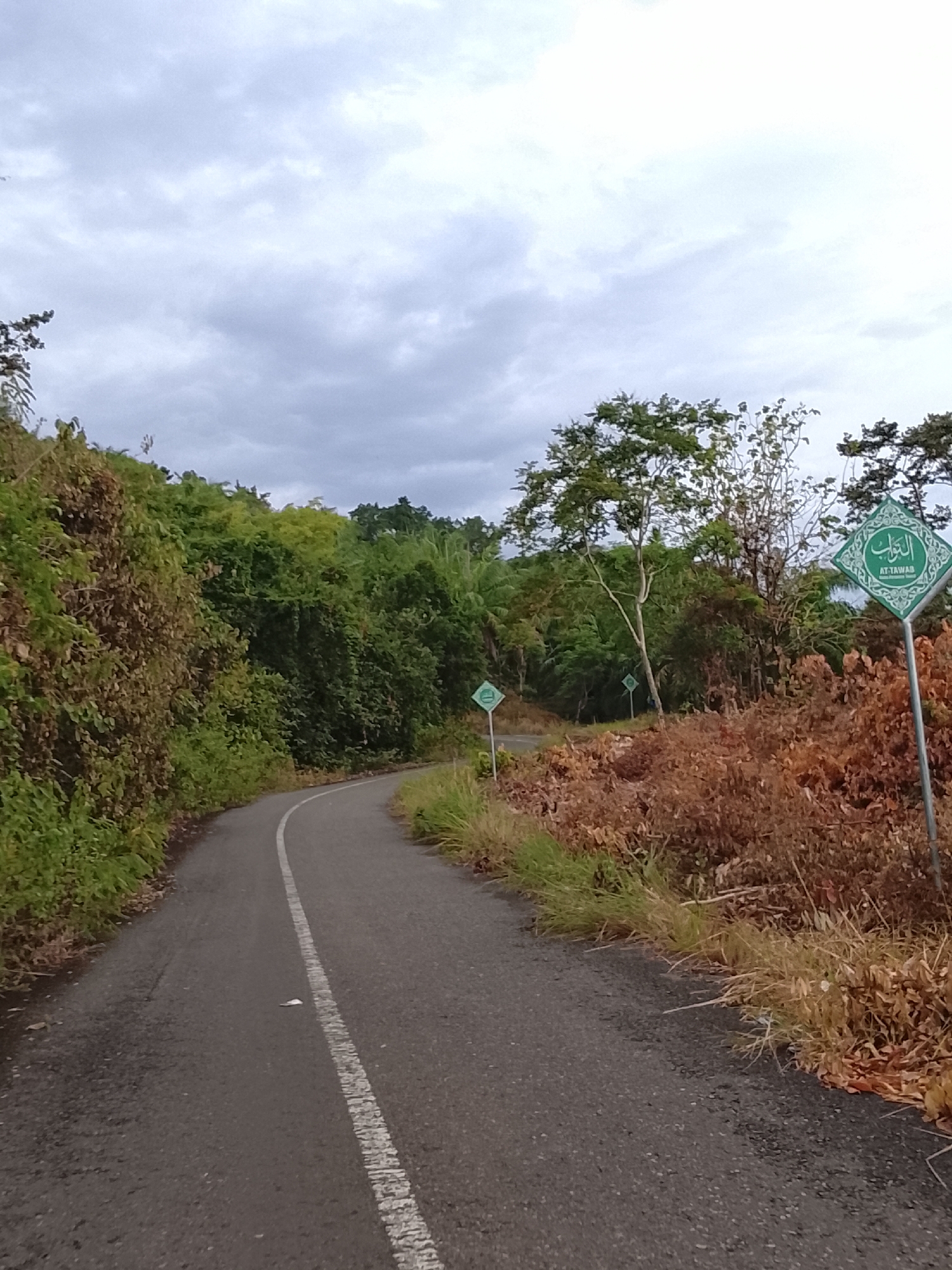 A paved road curves through a lush, tropical landscape with overcast skies. The road has a white line down the center. On the right side of the road, there are several diamond-shaped green signs with Arabic script and the words "AT TAWAB". The vegetation consists of dense green trees and shrubs on the left, and dry, brown brush on the right. The scene appears to be a scenic route, possibly in a rural area of Seunong, Indonesia, given the presence of the Islamic signage. There are no people visible in the image. The overall impression is one of natural beauty and cultural presence.