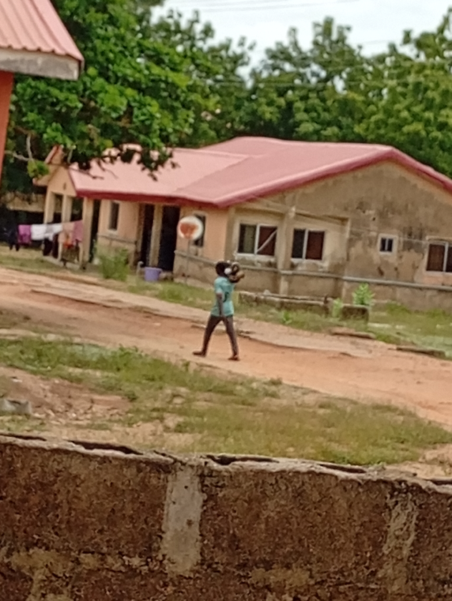 A person in a blue shirt is walking in a dirt path and bouncing a basketball in a residential area. The location is Unknown, Unknown. In the background is a house with a pink roof. Laundry is hanging in front of an adjacent house. A concrete wall is in the foreground. Green trees are visible in the background.