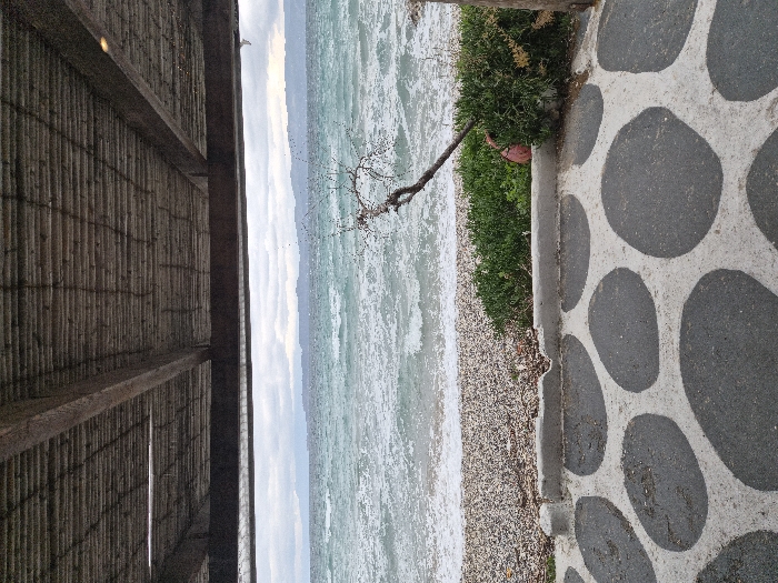 The image displays an exterior scene from the Municipal Unit of Assos - Lechaio, Greece, showing a view towards a choppy sea under an overcast sky. In the foreground, a concrete patio features large, irregular, dark gray stone shapes embedded in a lighter gray cement matrix. A low, light gray concrete curb with a small indentation separates the patio from the immediate environment. Beyond this curb, a strip of low-lying green vegetation is present. A gnarled, leafless woody branch or small tree extends from the right side of the frame, leaning towards the water. The beach consists of light-colored pebbles and small stones. The sea, likely the Gulf of Corinth, exhibits moderate waves breaking on the shore, with turquoise and gray-green water colors. In the distant background, a landmass with low hills is visible across the water under a uniformly cloudy, gray sky. The upper portion of the image is dominated by a wooden overhead structure, appearing to be a roof or canopy, composed of horizontal wooden slats or reeds supported by heavier dark wooden beams. No individuals are present in the scene.