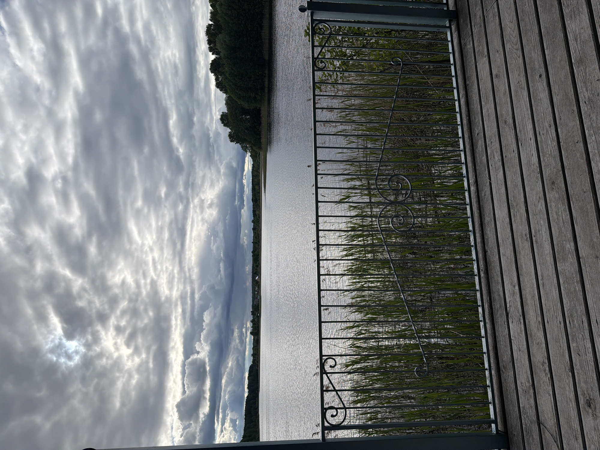 The image shows a view from a wooden deck or platform overlooking a body of water, possibly a lake or wide river. A decorative metal railing stands between the deck and the water. Behind the railing, tall reeds or grasses grow along the water's edge. The water reflects the sky, which is filled with textured, cloudy formations. In the distance, a treeline is visible on the opposite shore of the water. The photograph is taken from an elevated position. There are no people visible in the image. The city of Zaplav'e, Russia, is not identifiable from the context provided.
