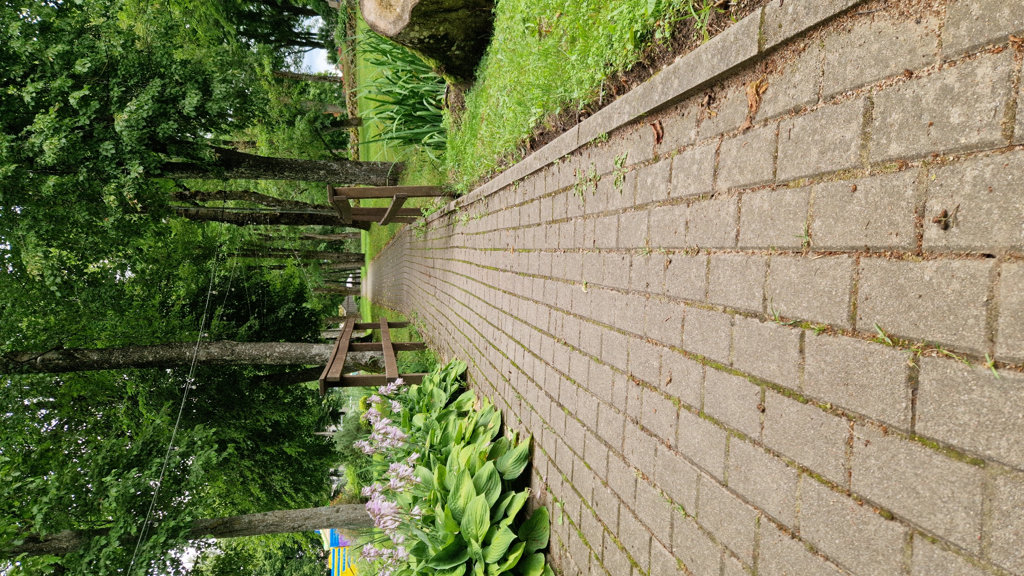 A paved pathway made of grey concrete rectangular bricks leads into a lush green park in Priekule, Latvia. The pathway is lined on the left by a wooden railing, large green leafy plants with clusters of small pink flowers, and mature trees with full green canopies. On the right, the pathway is bordered by a concrete curb, grass, and more large green plants. A tree stump is visible to the far right. The scene appears to be an outdoor public space, likely a park or garden, given the presence of pathways, manicured plants, and trees. There are no people visible in the image, and no actions or interactions are depicted. The environment is natural and serene.