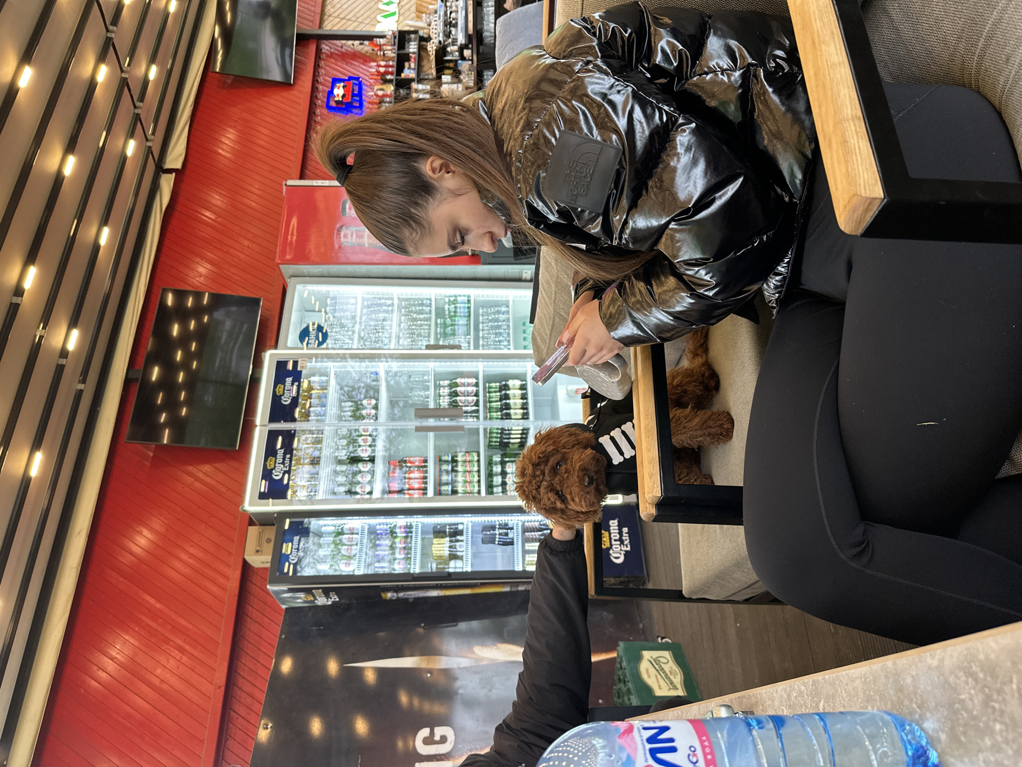 An indoor scene in Plovdiv, Bulgaria, captures a young woman and her dog seated at a table in what appears to be a cafe or bar. The woman, with long brown hair in a high ponytail, wears a shiny black puffer jacket with a "THE NORTH FACE" logo on the shoulder and black leggings. She is focused on a small device held in her hands. Beside her, a small, fluffy brown dog, wearing a black shirt with "III" in white, sits calmly.
In the foreground, a bottle of "NOVA ВОДА" (Nova Water) rests on the table. The background features several brightly lit glass-fronted refrigerators stocked with numerous bottled beverages, most notably "Corona Extra" beer. Behind these, a vibrant red slatted wall is visible. Part of another person's arm, wearing a black long-sleeved shirt, can be seen in the lower left corner. The setting suggests a casual daytime gathering.