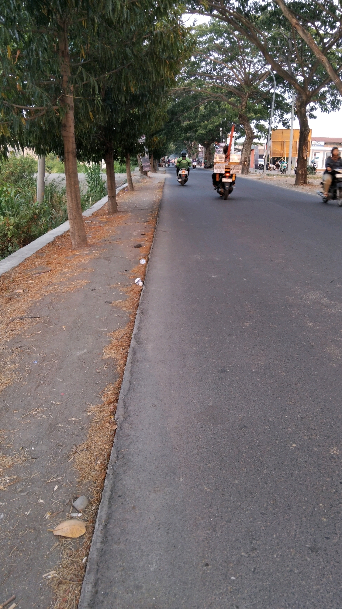 A vertical, eye-level, medium shot captures a road in Tegal, Indonesia, flanked by a paved sidewalk and lined with mature trees casting shadows. Several motorcycles are present on the road. In the foreground, a motorcycle rider wearing a green jacket and a white helmet is seen from behind, heading away from the camera. Further ahead, another motorcycle with a rider wearing a dark jacket and white helmet is also moving away, with a large, flat object attached to the back. In the distance, more motorcycles are visible, including one on the right with a rider in a black jacket. The sidewalk has patches of dry leaves and some scattered litter. The background shows buildings and more trees. The sky is overcast.