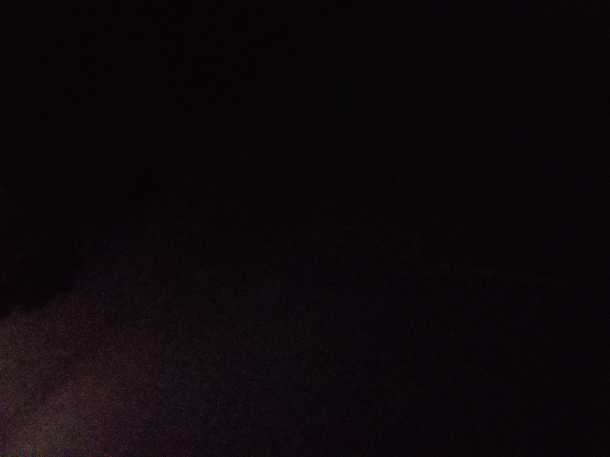 The image is a very dark, grainy, and out-of-focus photograph. The scene is largely underexposed, making it difficult to discern any specific details. In the lower left portion of the frame, there is a faint, amorphous dark shape. The rest of the image appears to be a dark, textured surface, possibly fabric or ground, with some subtle variations in tone and light speckling. There is no discernible information about people, objects, actions, or the environment, and therefore no specific location in Irkol, Kazakhstan can be identified.