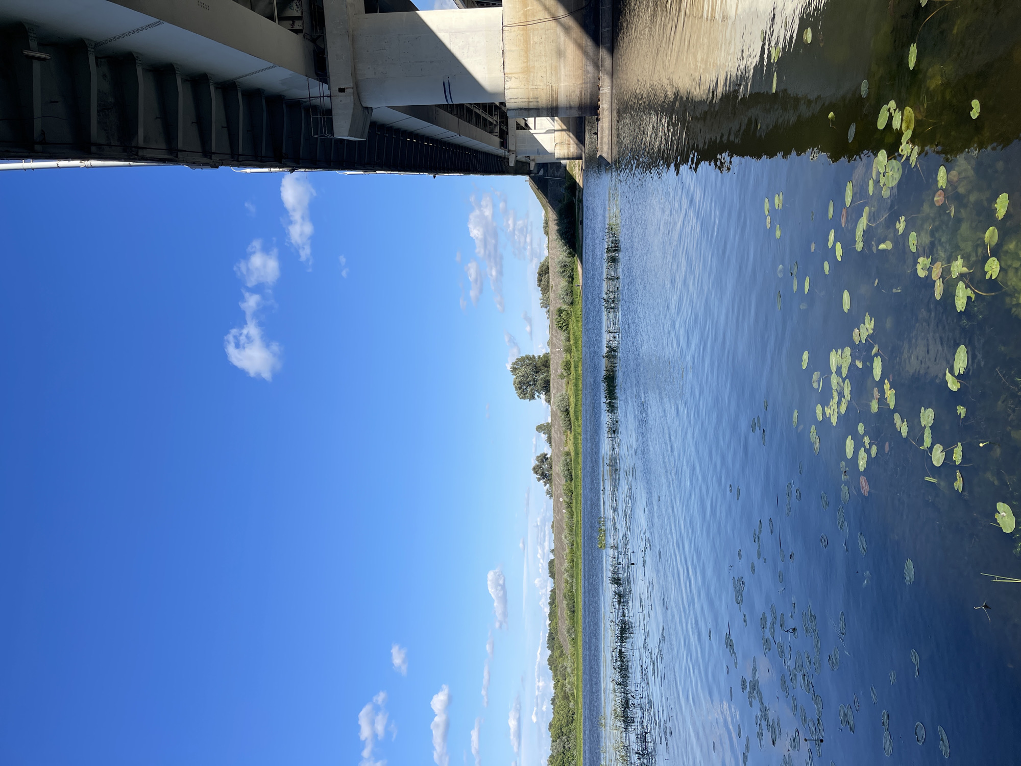 A daylight shot captures a bright blue sky with scattered white clouds above a wide river. The river's surface is calm with gentle ripples, and lily pads are visible floating on the water. On the right side of the image, a large concrete bridge structure dominates, with its support pillars casting shadows onto the water. The bridge extends across the frame, with the underside visible, showing its construction. Along the riverbank in the background, there is lush green vegetation and trees. The scene appears to be an outdoor environment near a body of water with significant infrastructure.
